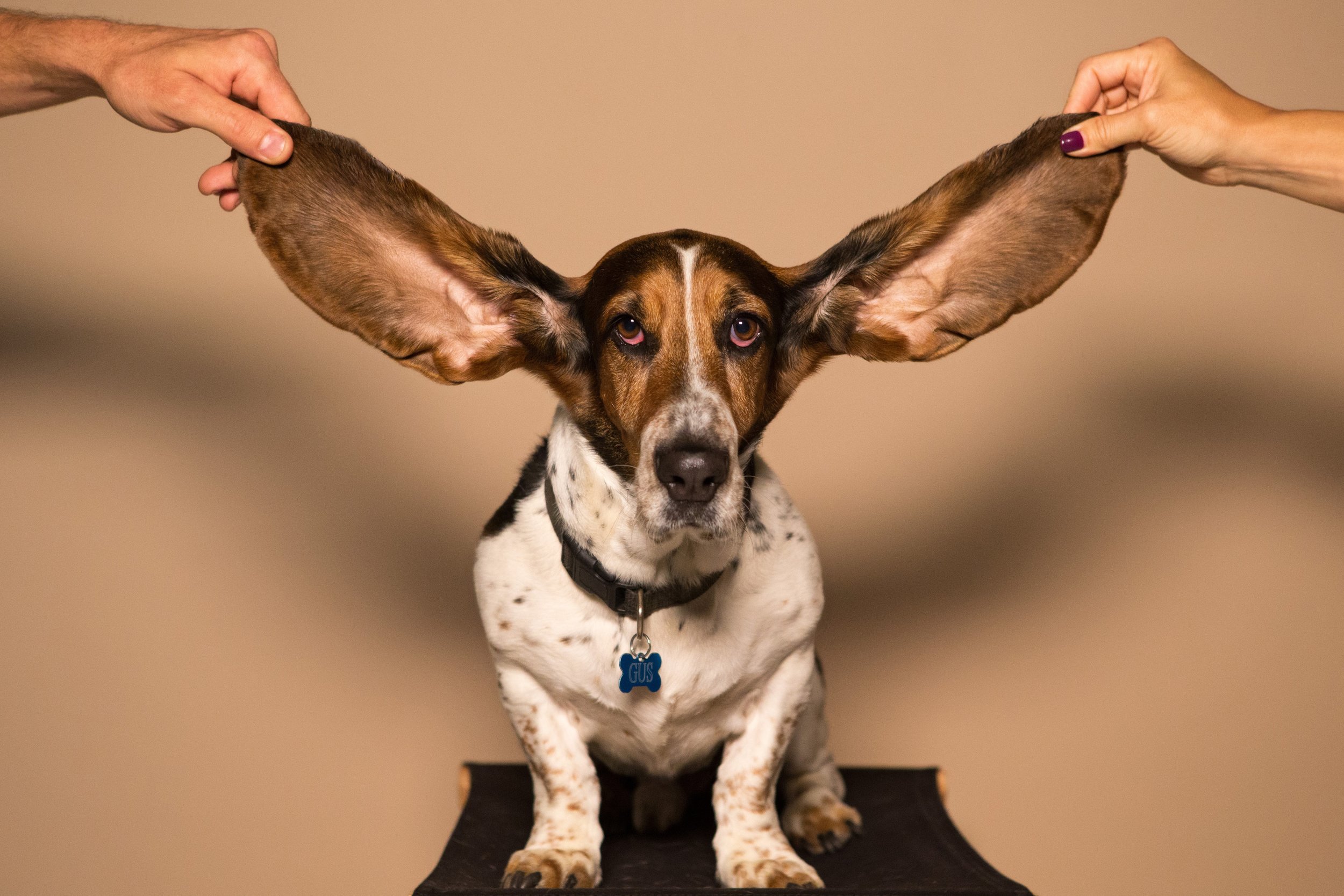 How to Listen