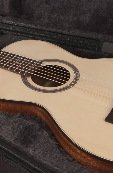 godin tric parlor deluxe case