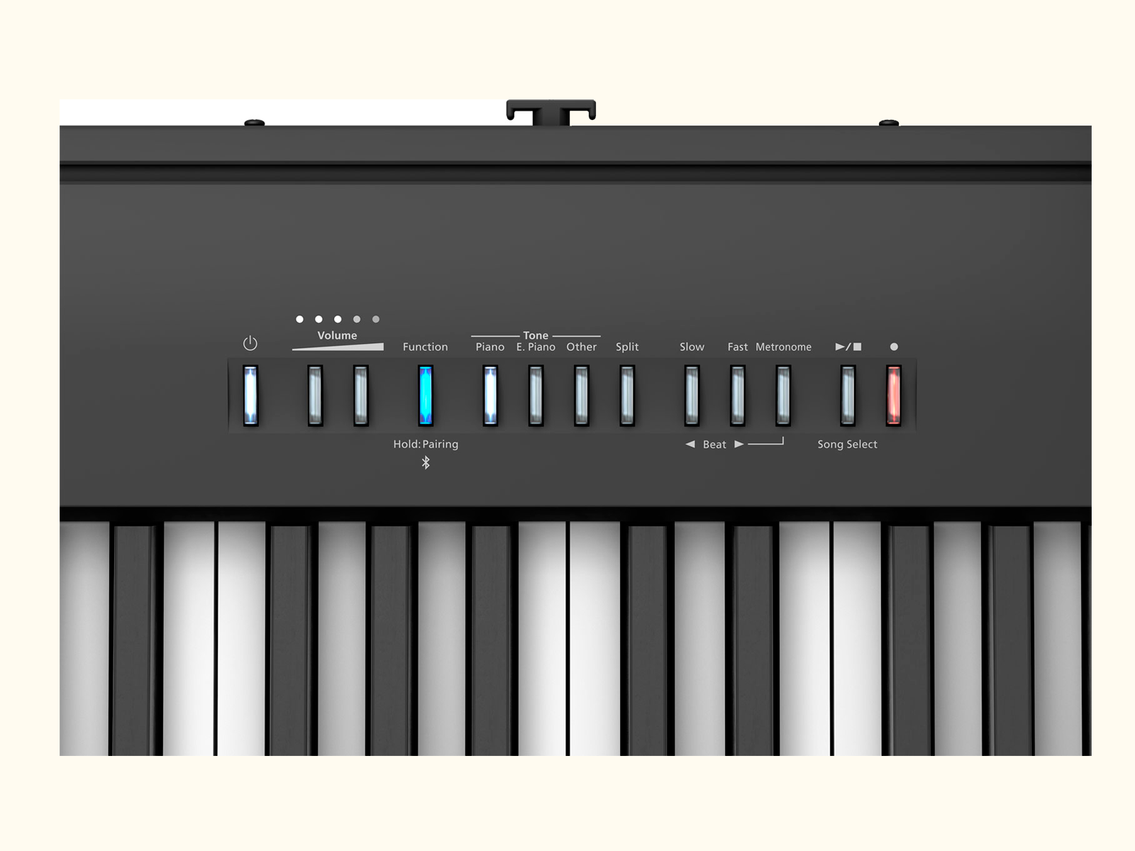 FP-30X-5.png