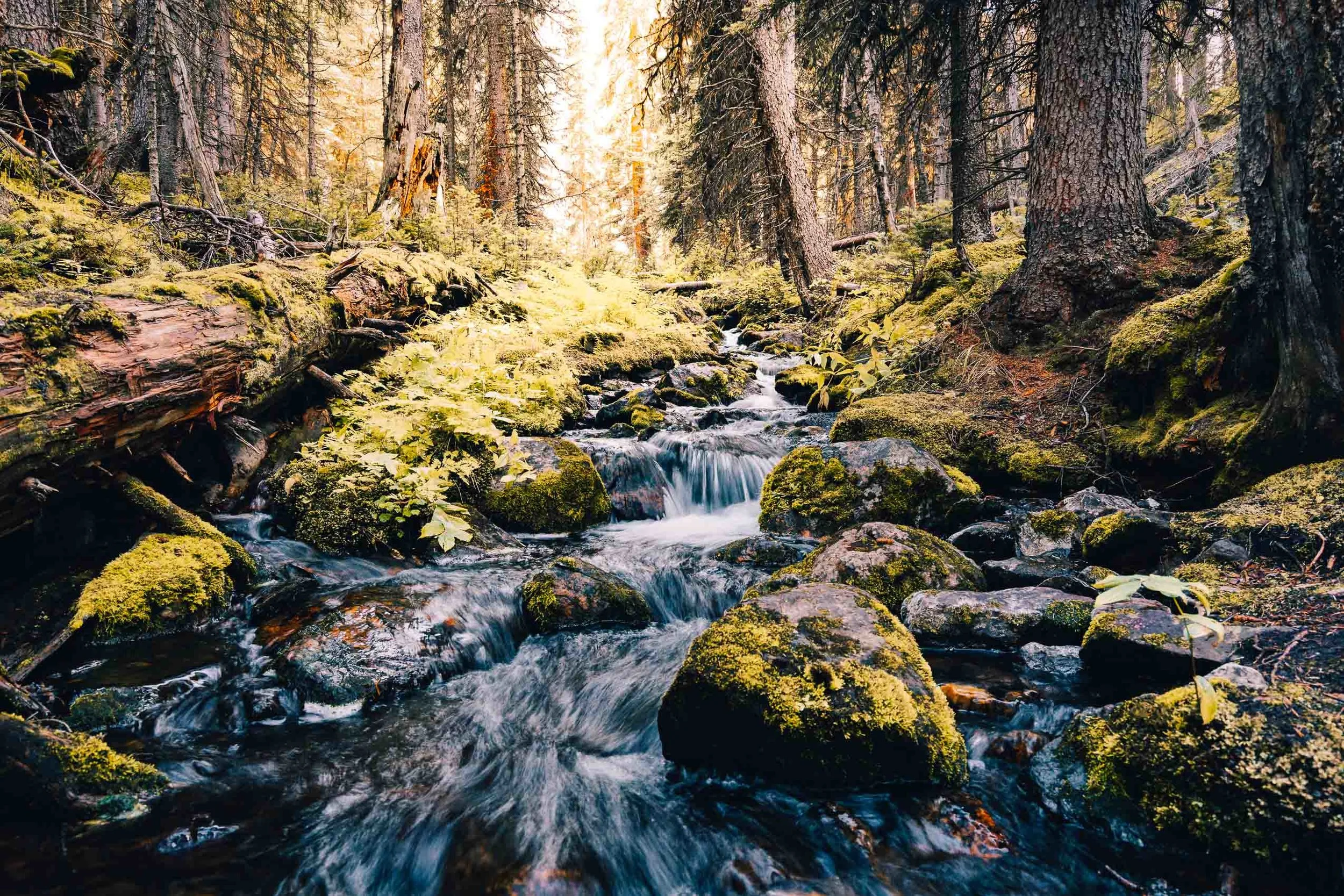 LakeOHaraStream.jpg