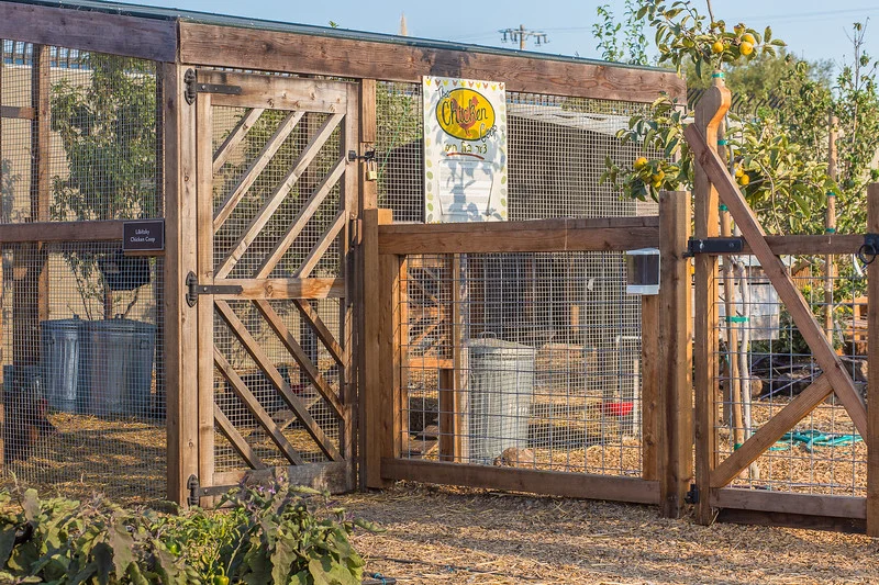 Chickencoop.jpg