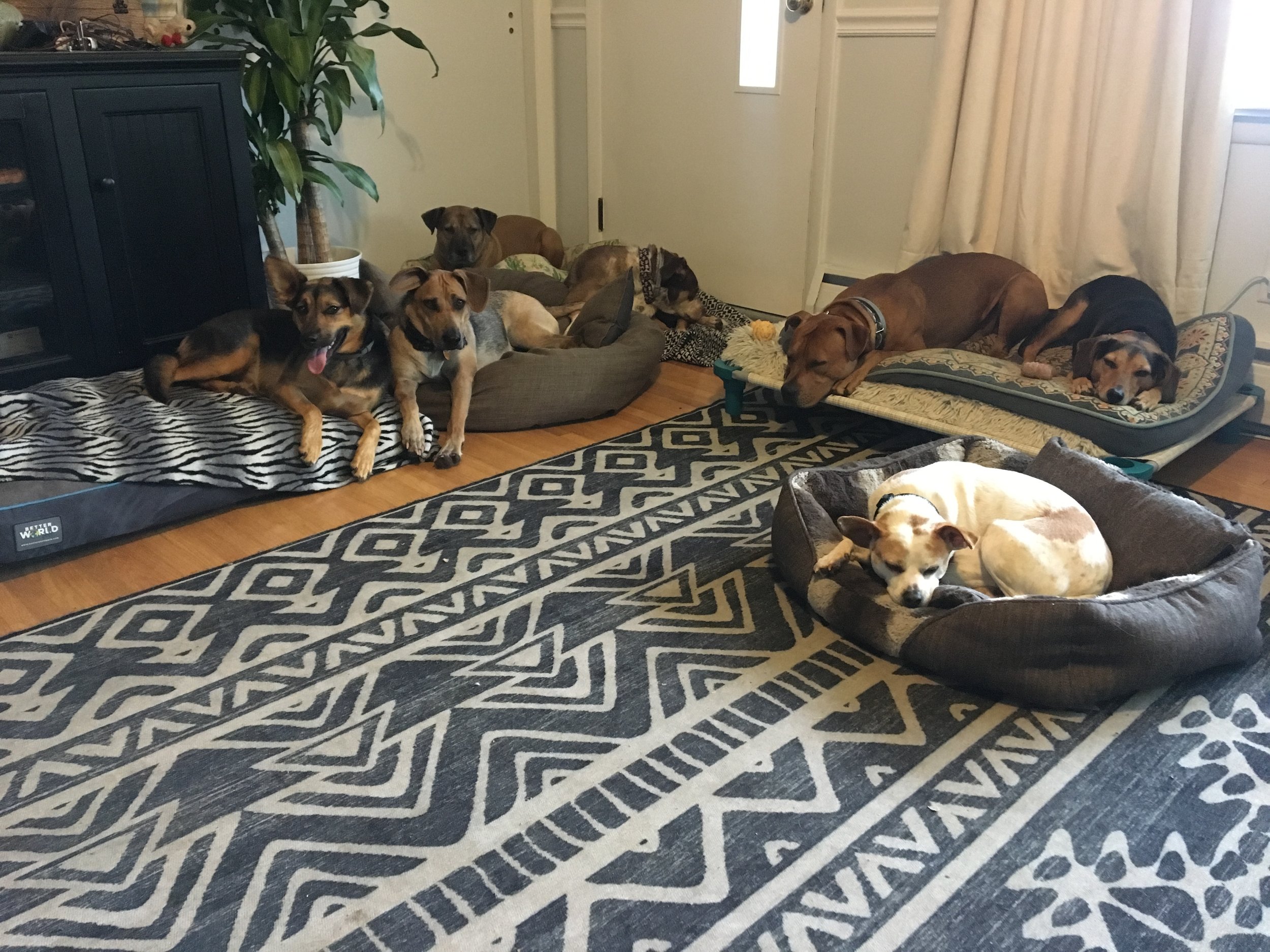 2018-10-27 16.36.05.jpg