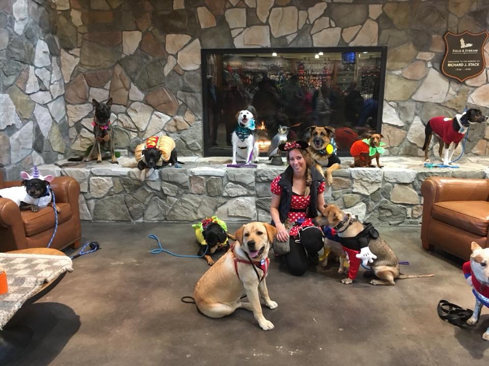 2018-10-27 11.52.02.jpg