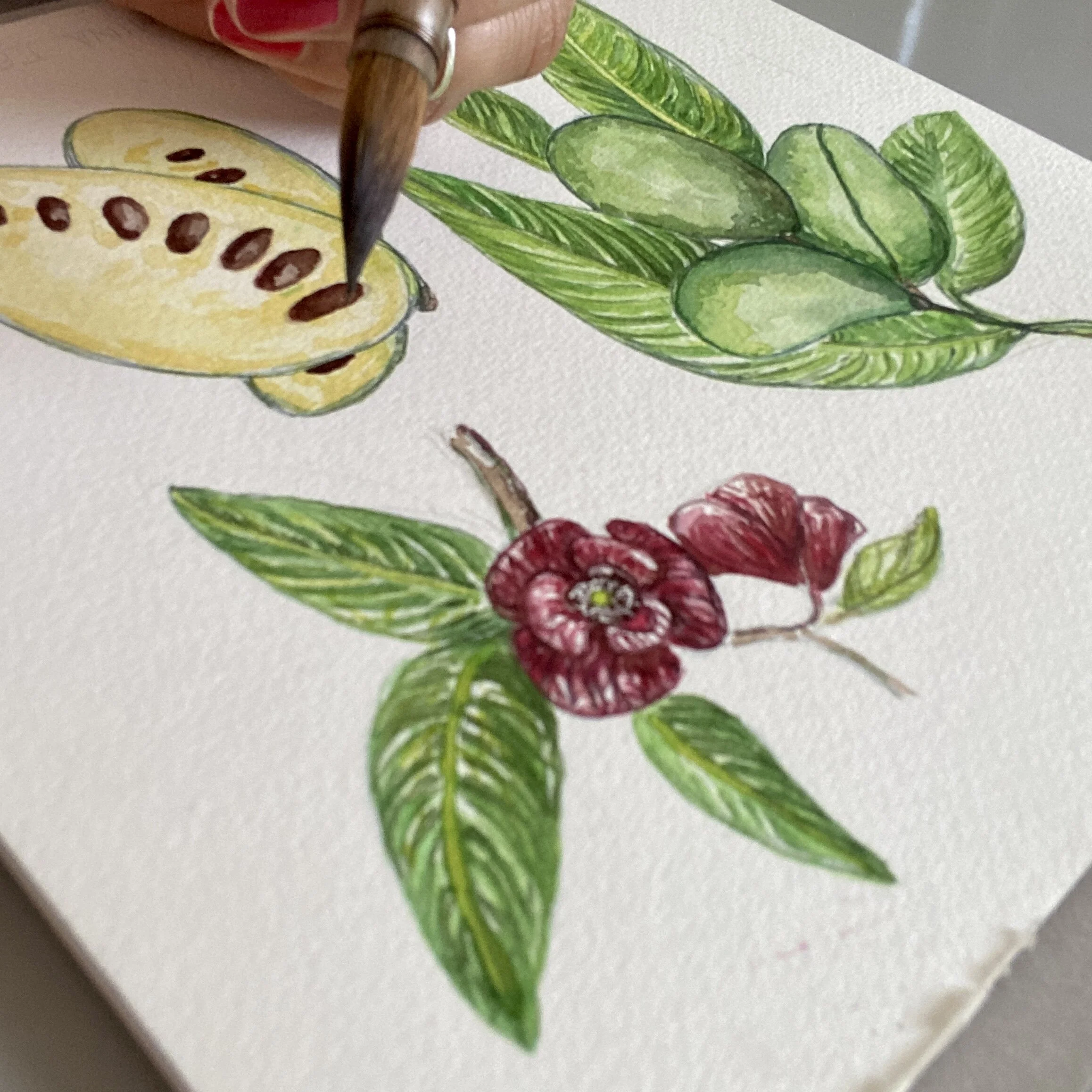 55395652-C5A2-46E2-A1D9-69A246C7B89E