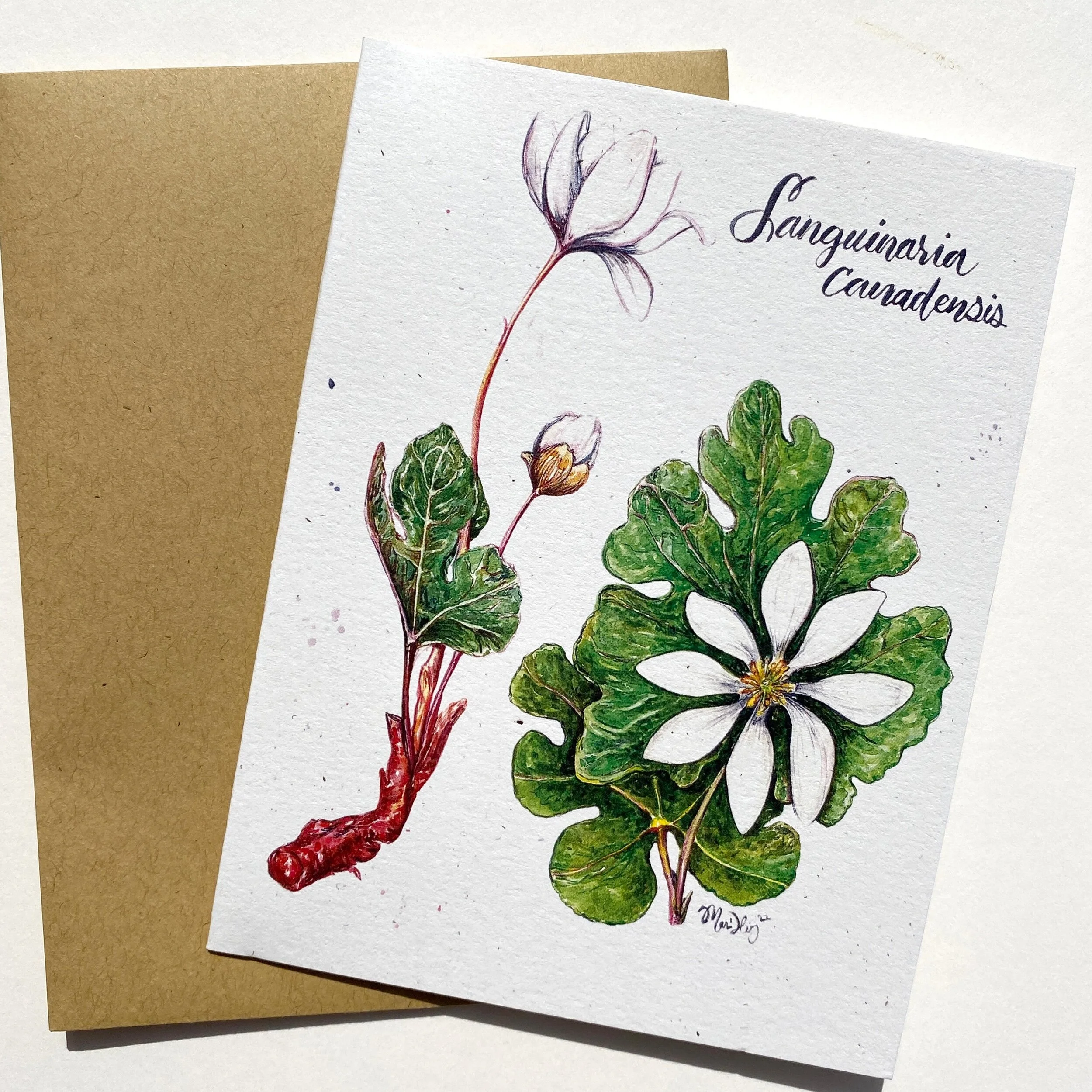 5E03A1C3-3C79-49DB-90D4-8739BE64F3C5