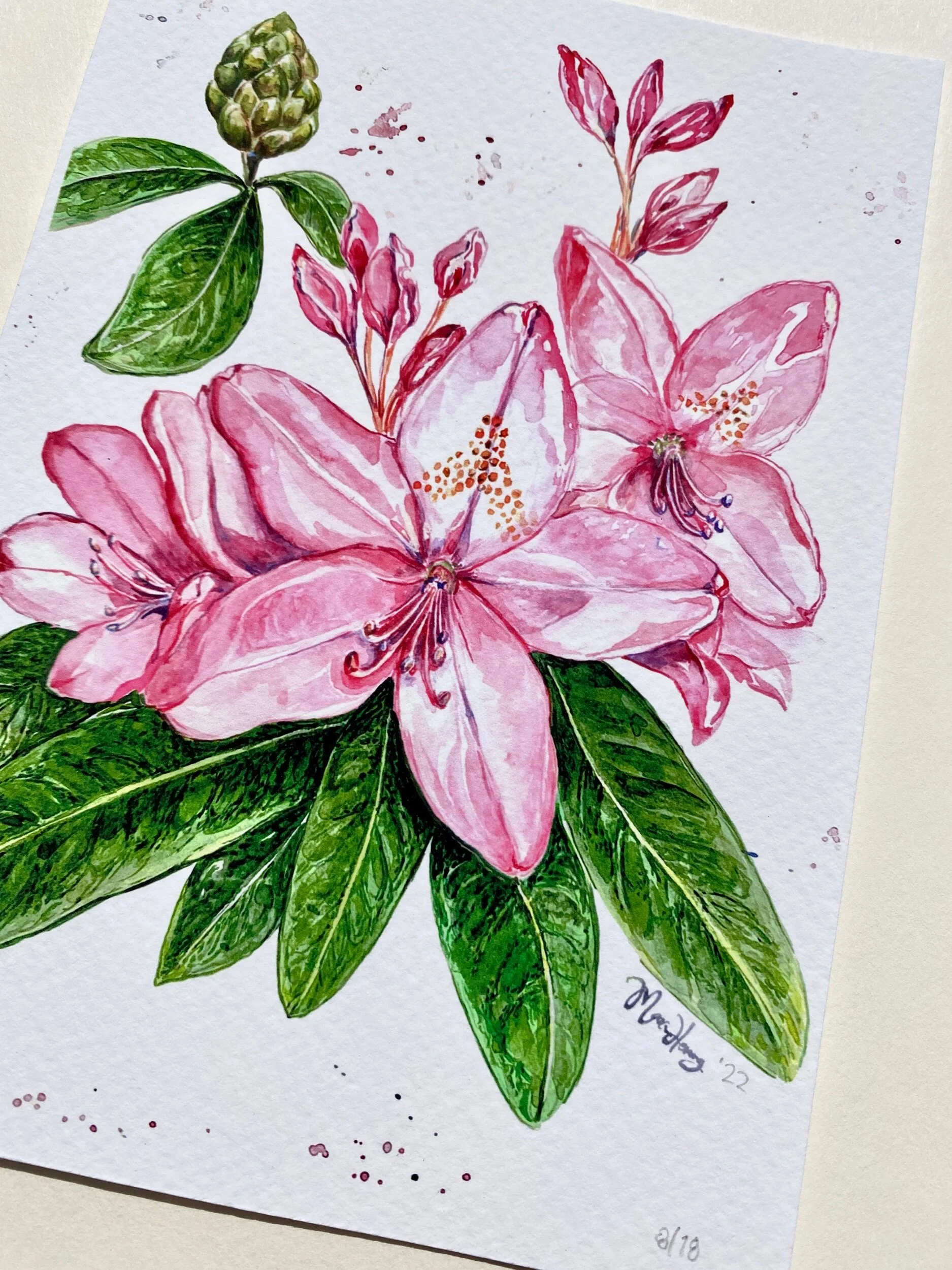 1FF36064-B1E0-423C-97BE-C85740460EFC