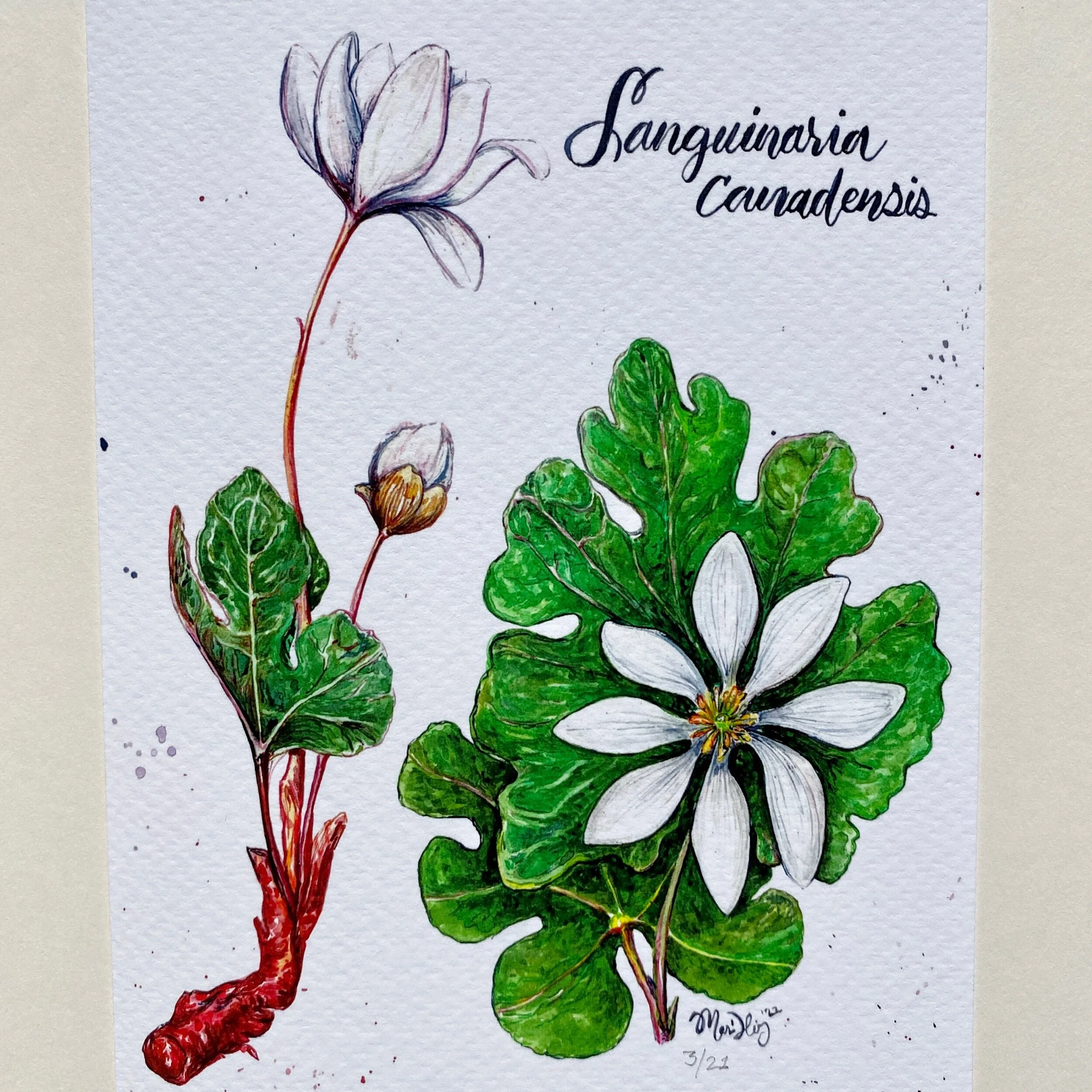 3CF72D6D-1990-48BA-9637-009545D4783C