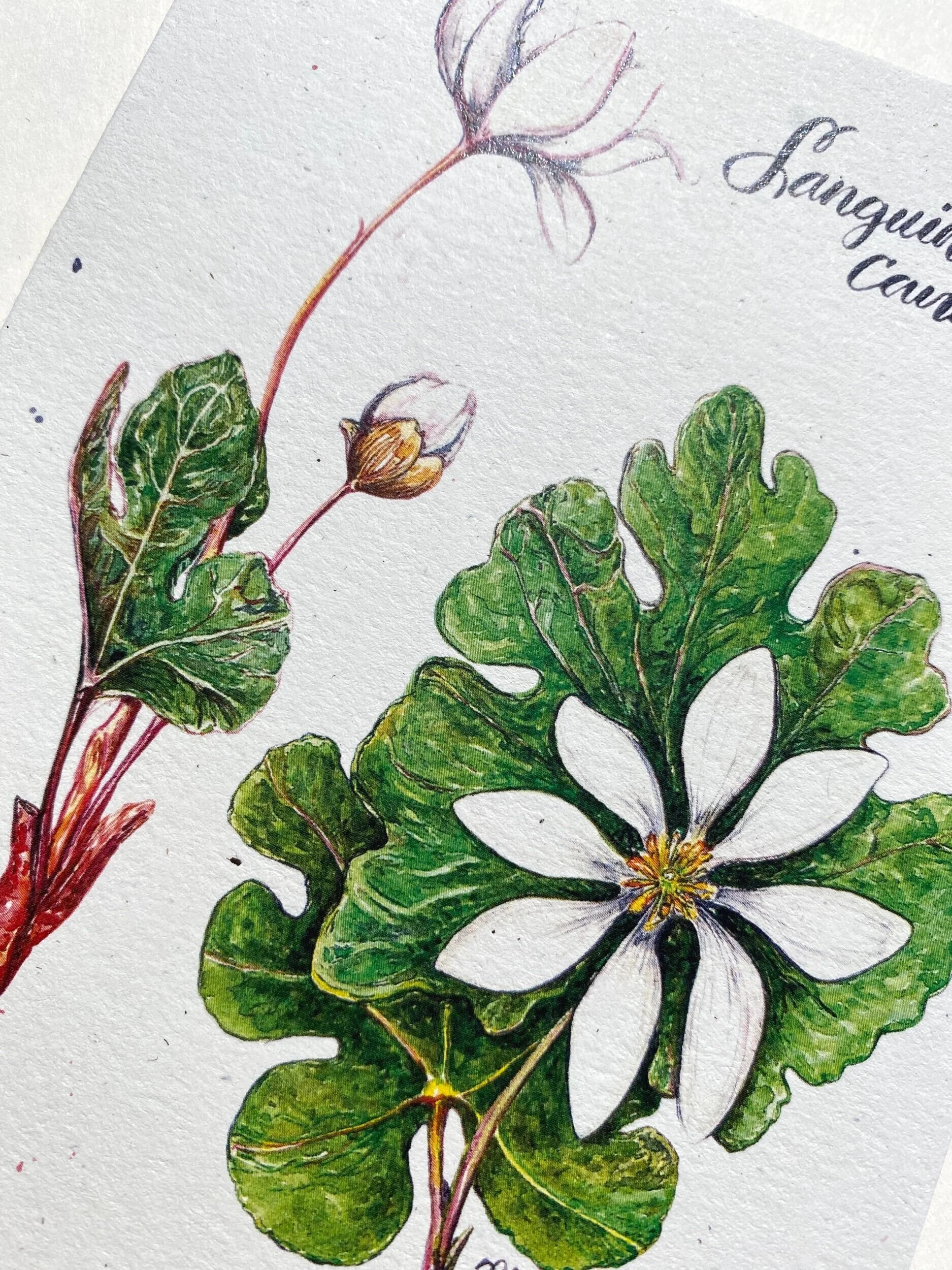 C588733E-E2C2-4398-AB40-594627259CB9