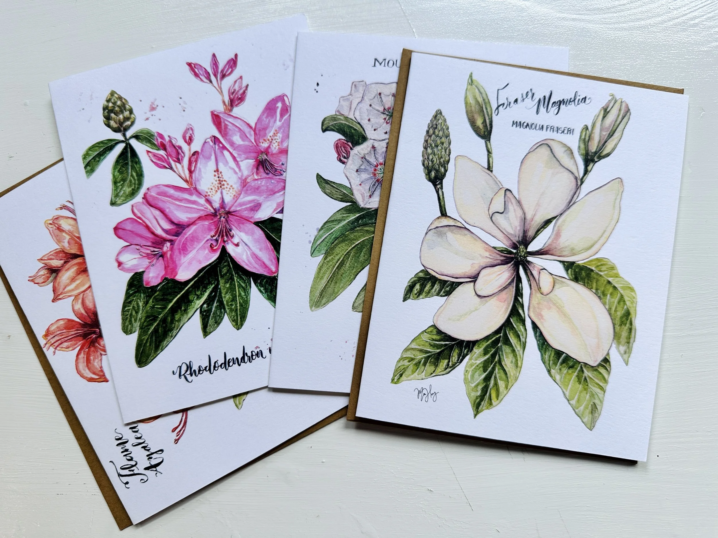 Flora of the Smoky Mountains Greeting Card Set