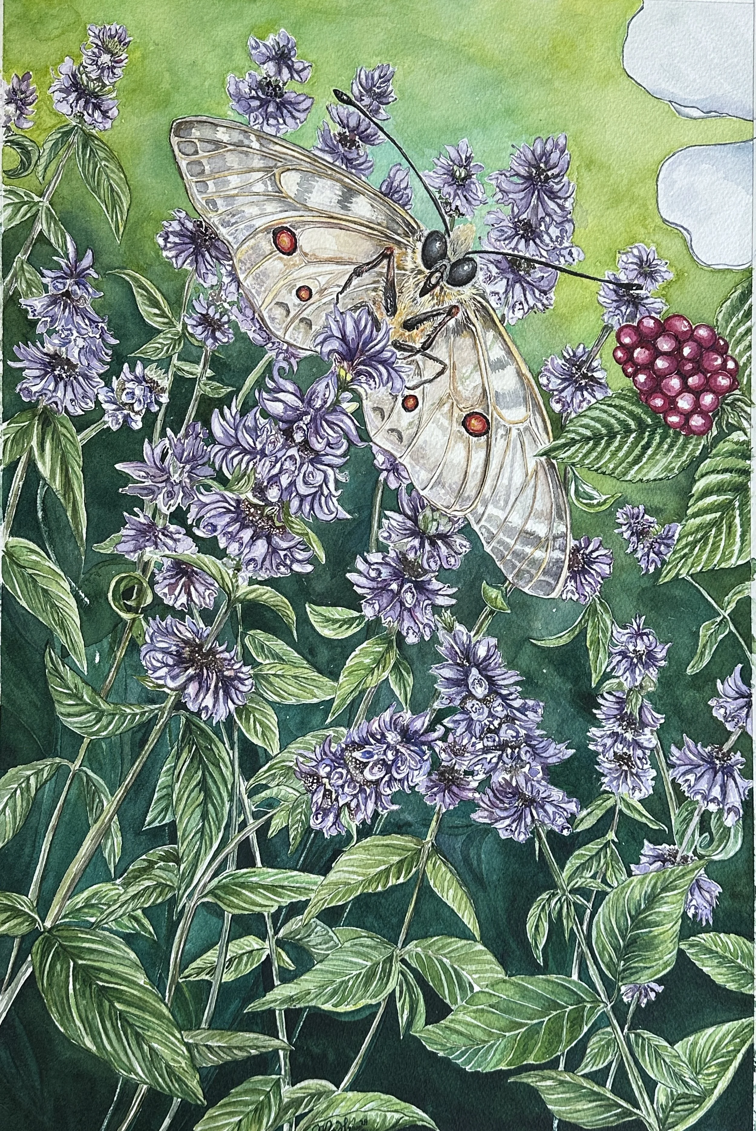 Beauty in the Survival Function - Clodius Parnassian 