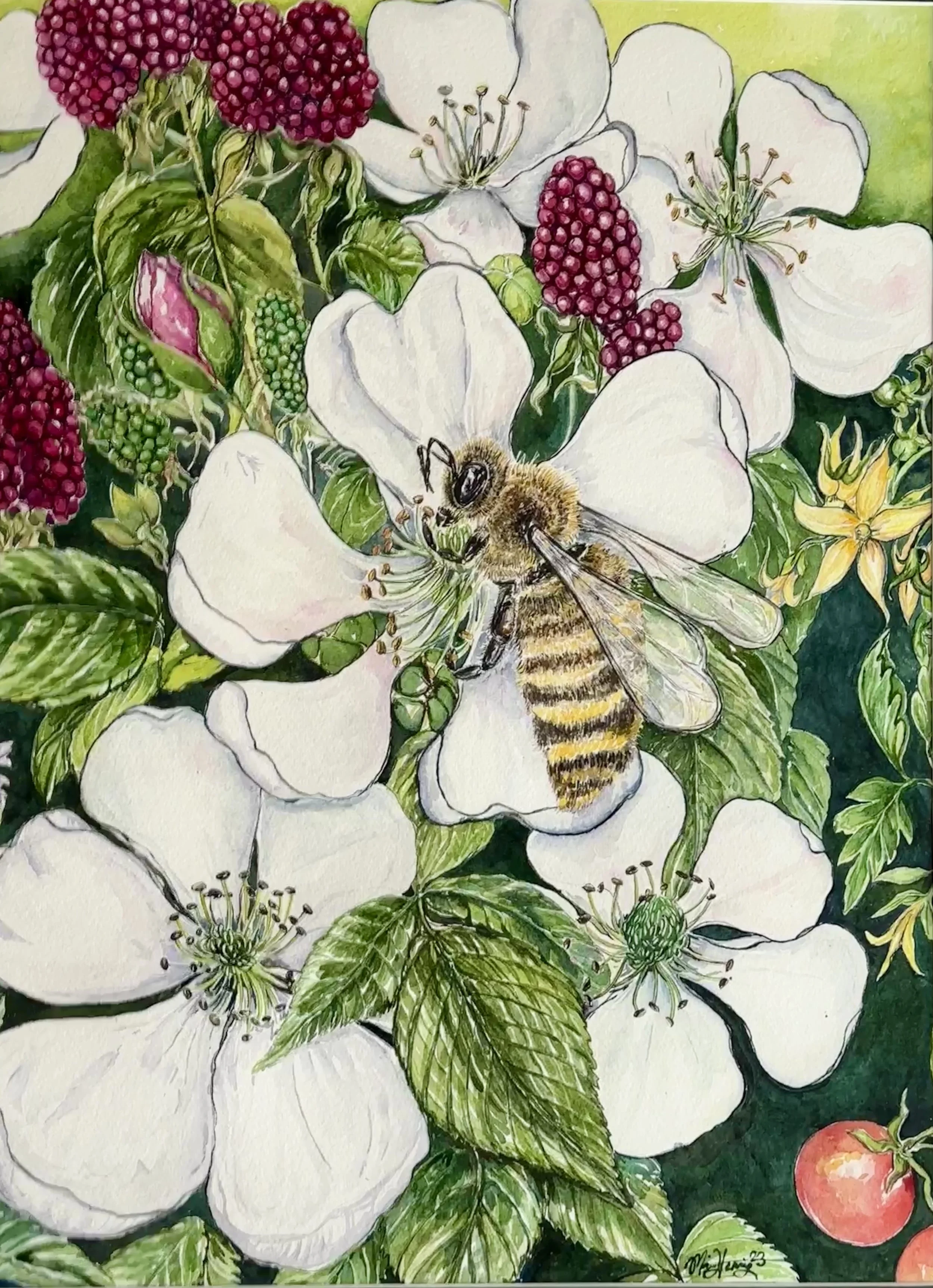 Beauty in the Survival Function- Honeybee