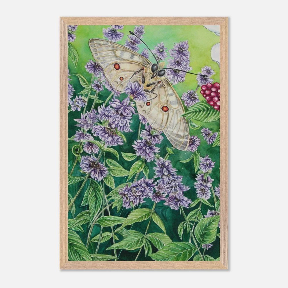 tmp-399-oQfkwP1DJtap