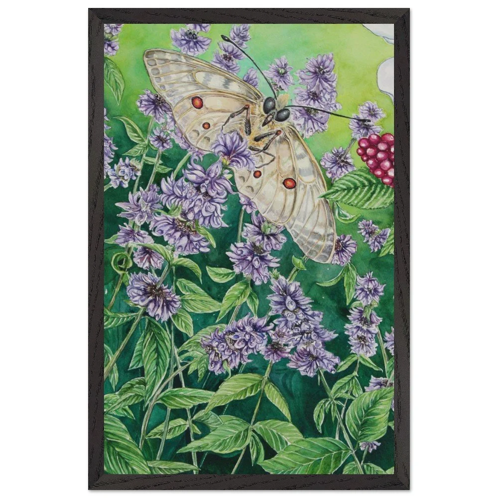 tmp-399-6nsW74D6fHeq