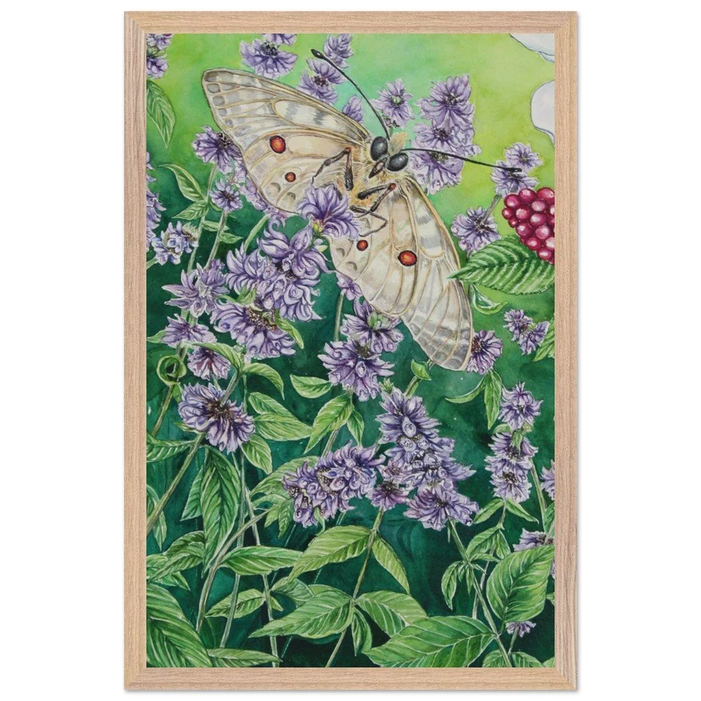 tmp-399-SwDd7Pja7OOT