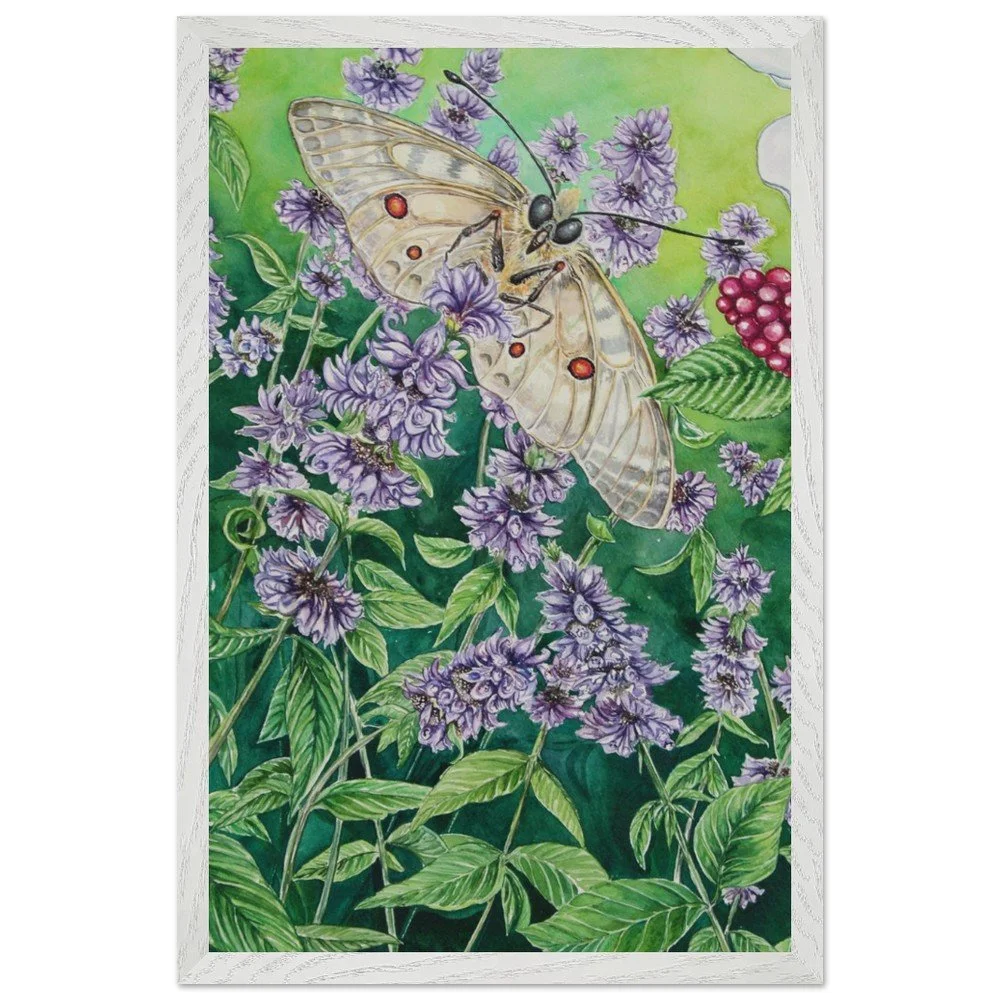 tmp-399-l77HNDJGY5iM