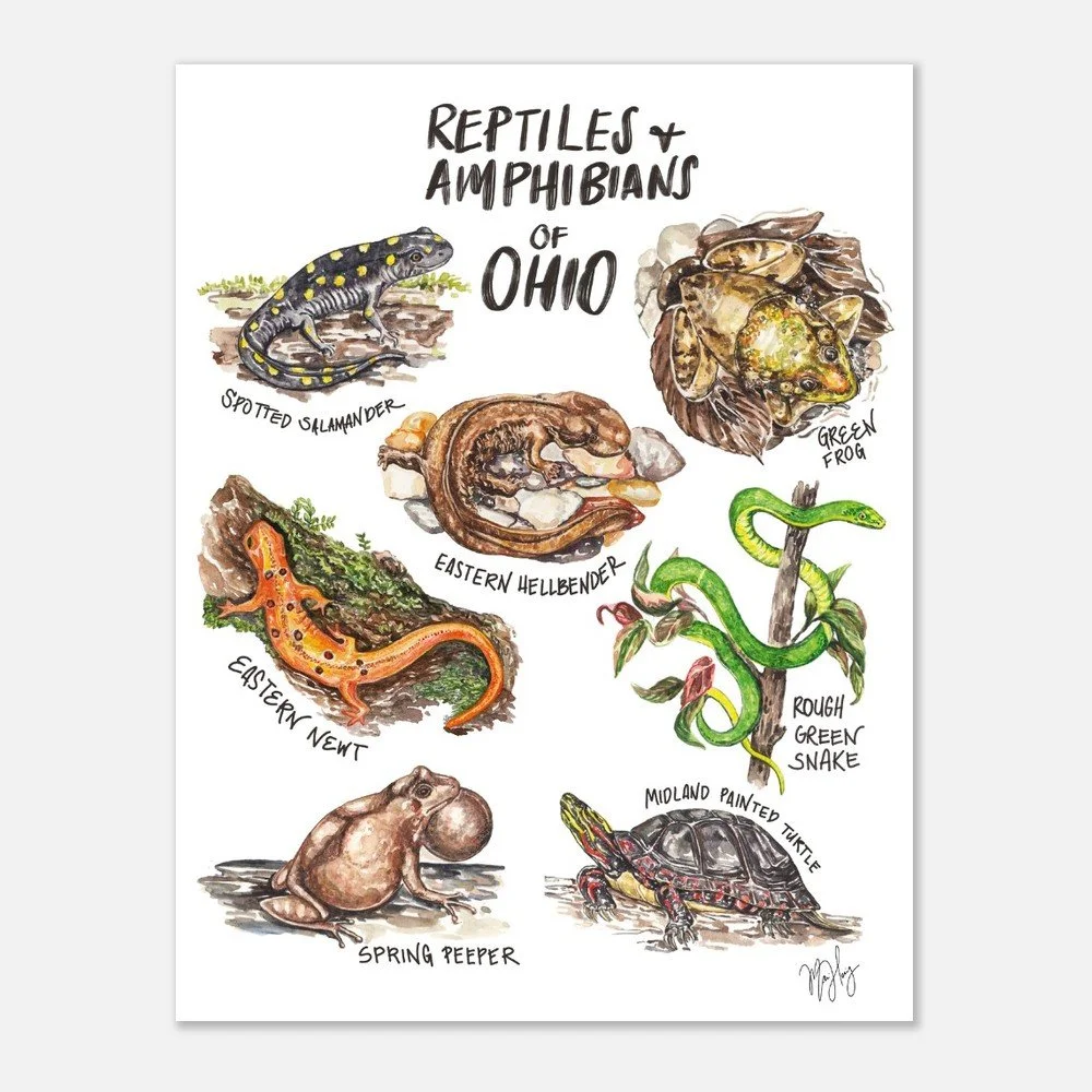 tmp-285-C4ISLRpB3r5S