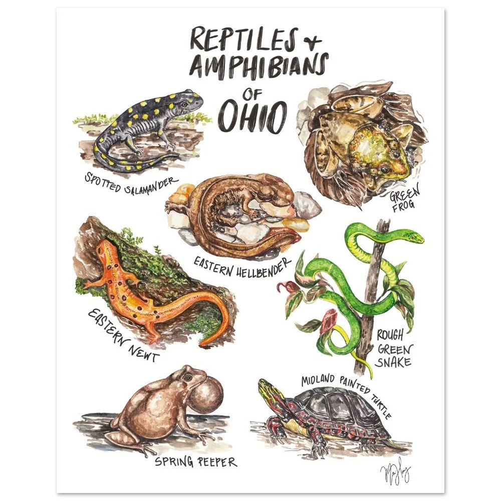 tmp-285-zy0kkA9G8Tmv