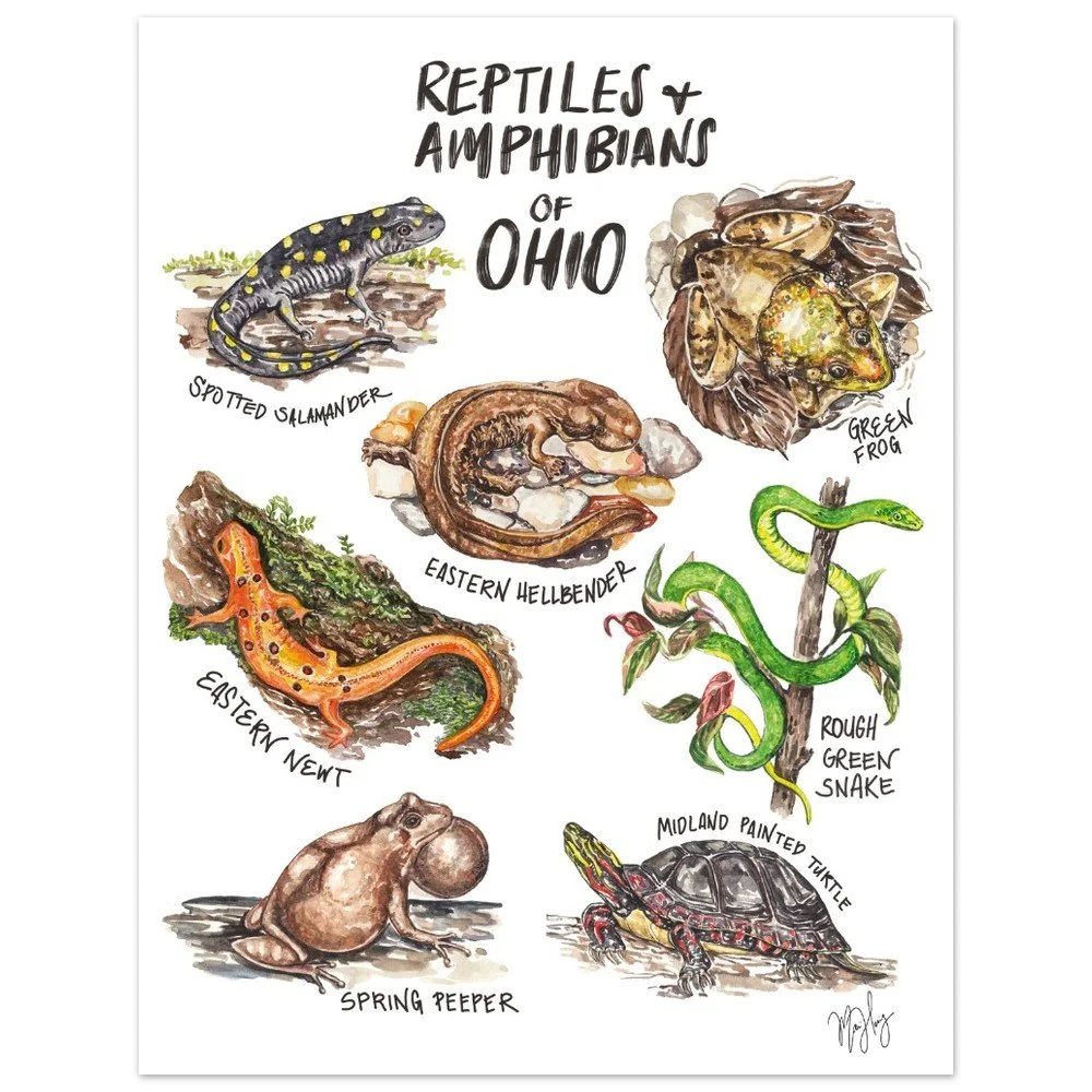 tmp-285-0NNY0C9cm3G0