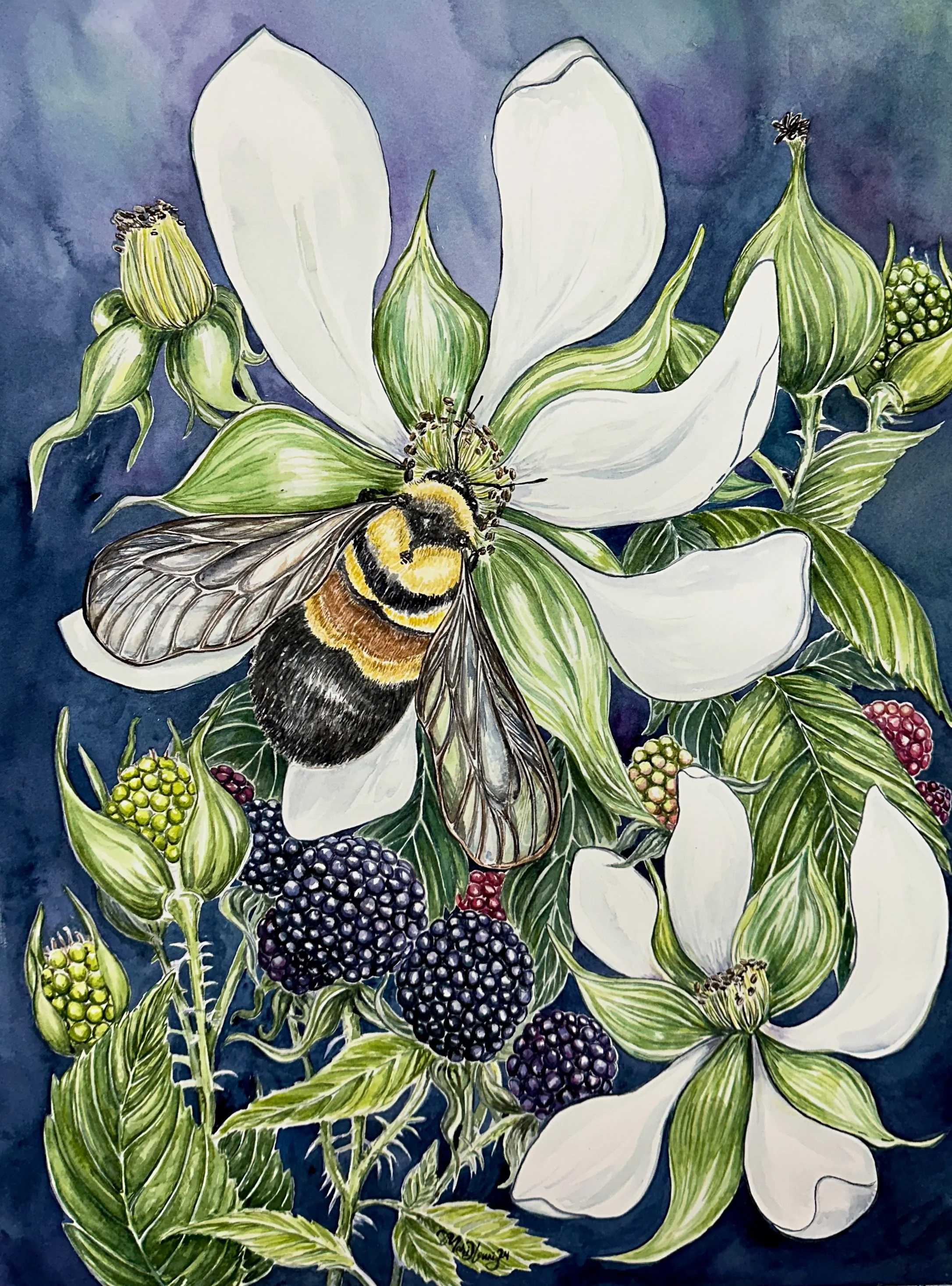 The Raspberry Roundup