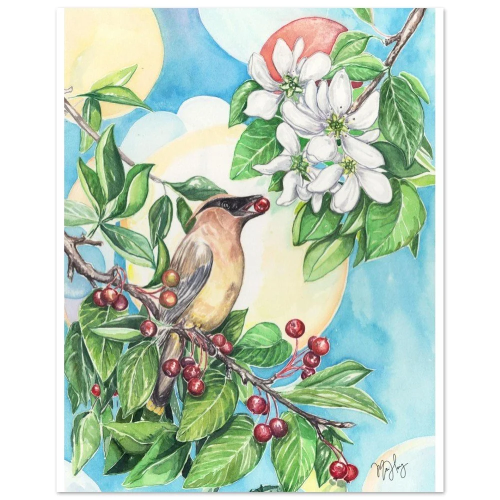 tmp-152-aCJxQwpd1dkC