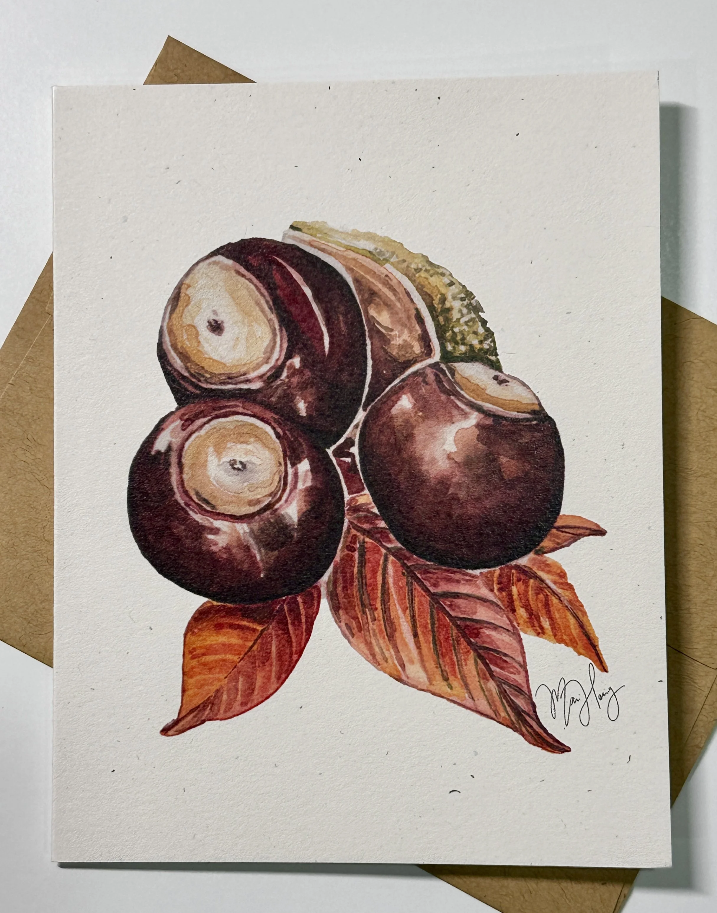 Yellow Buckeye Blank Greeting cards {set of 4}