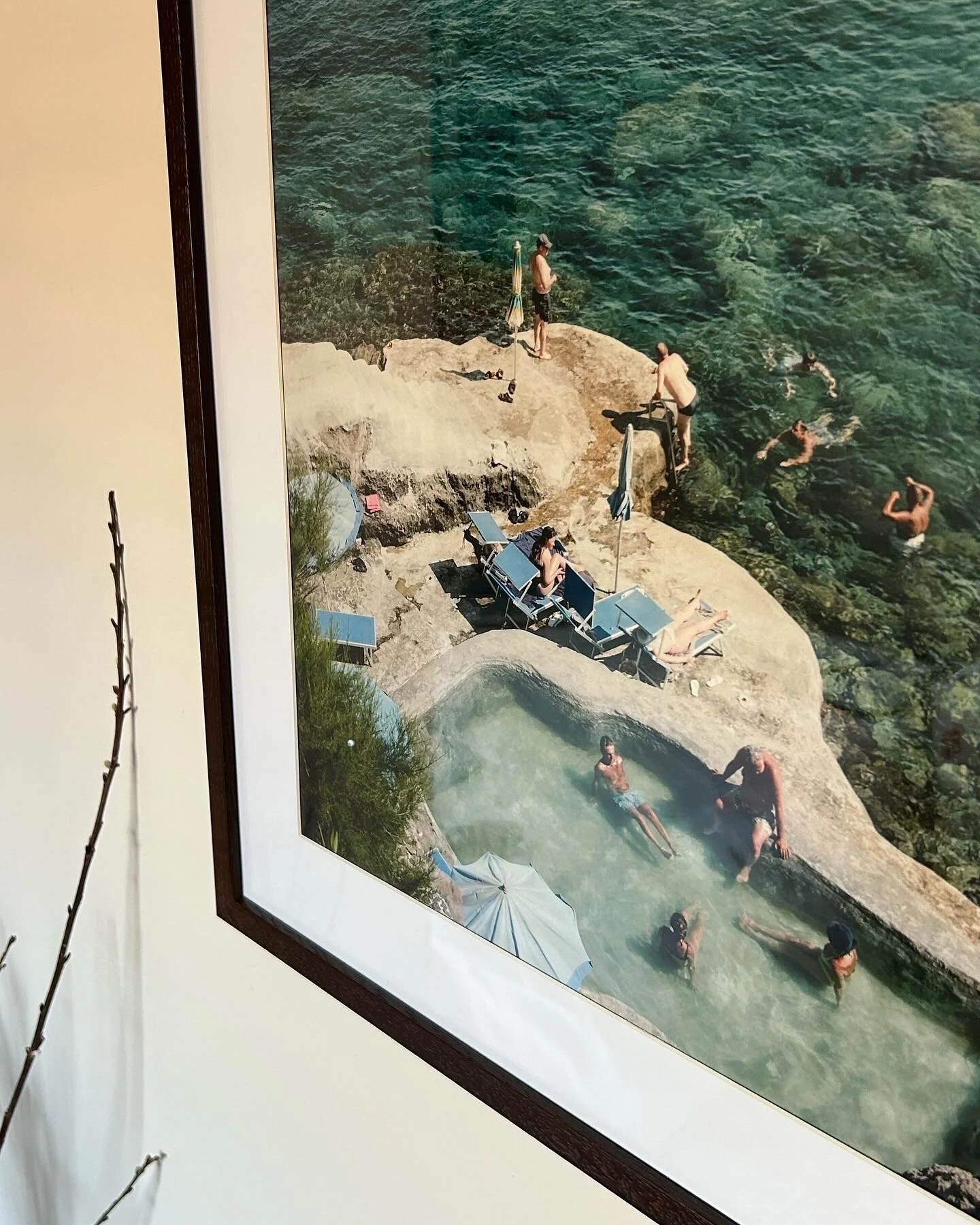 8BF1E88F-D1E2-48BD-A110-38D7CD8C71BA