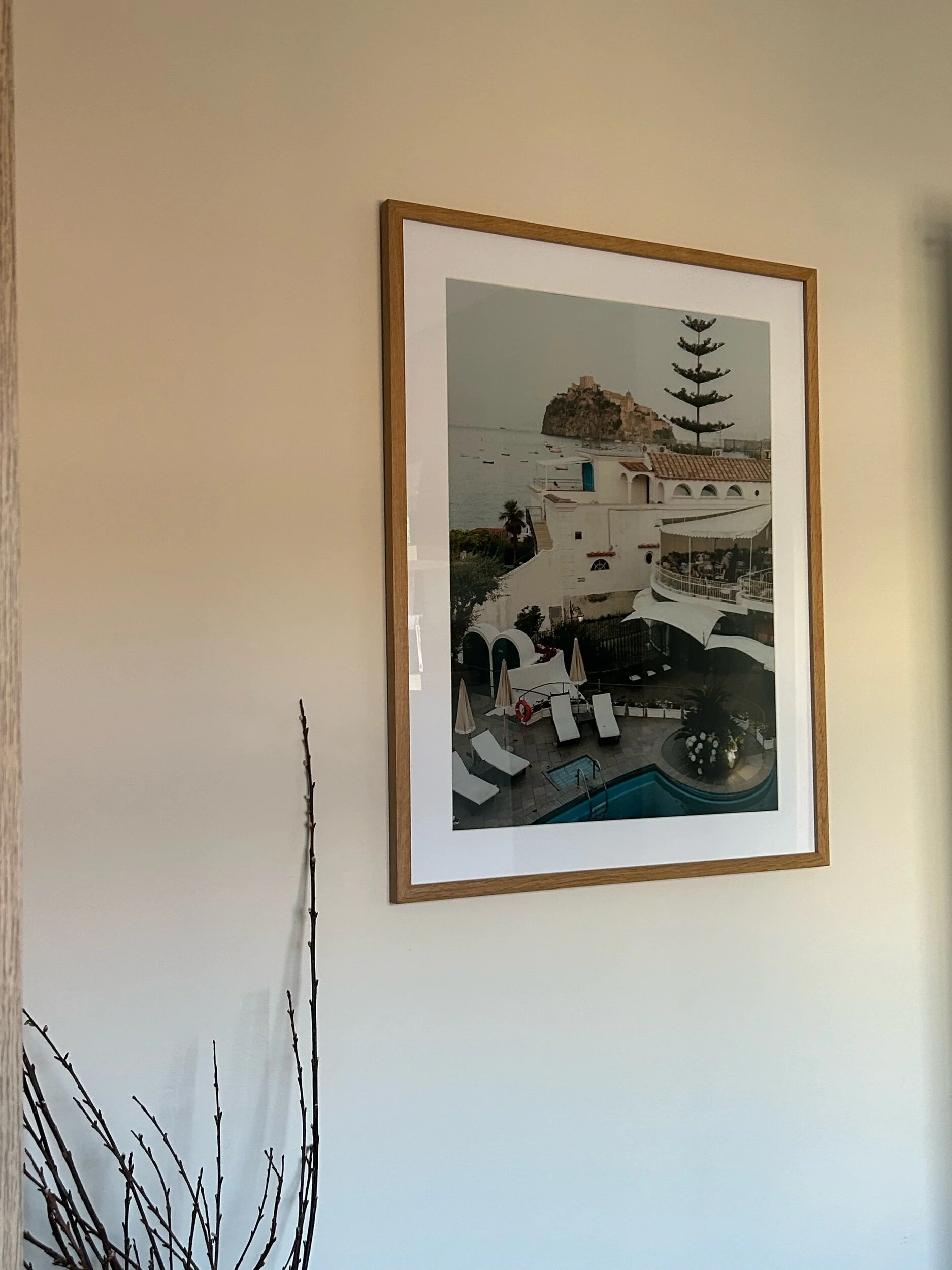 8FA1D77B-F2F2-4E99-A30D-74206DD443EA