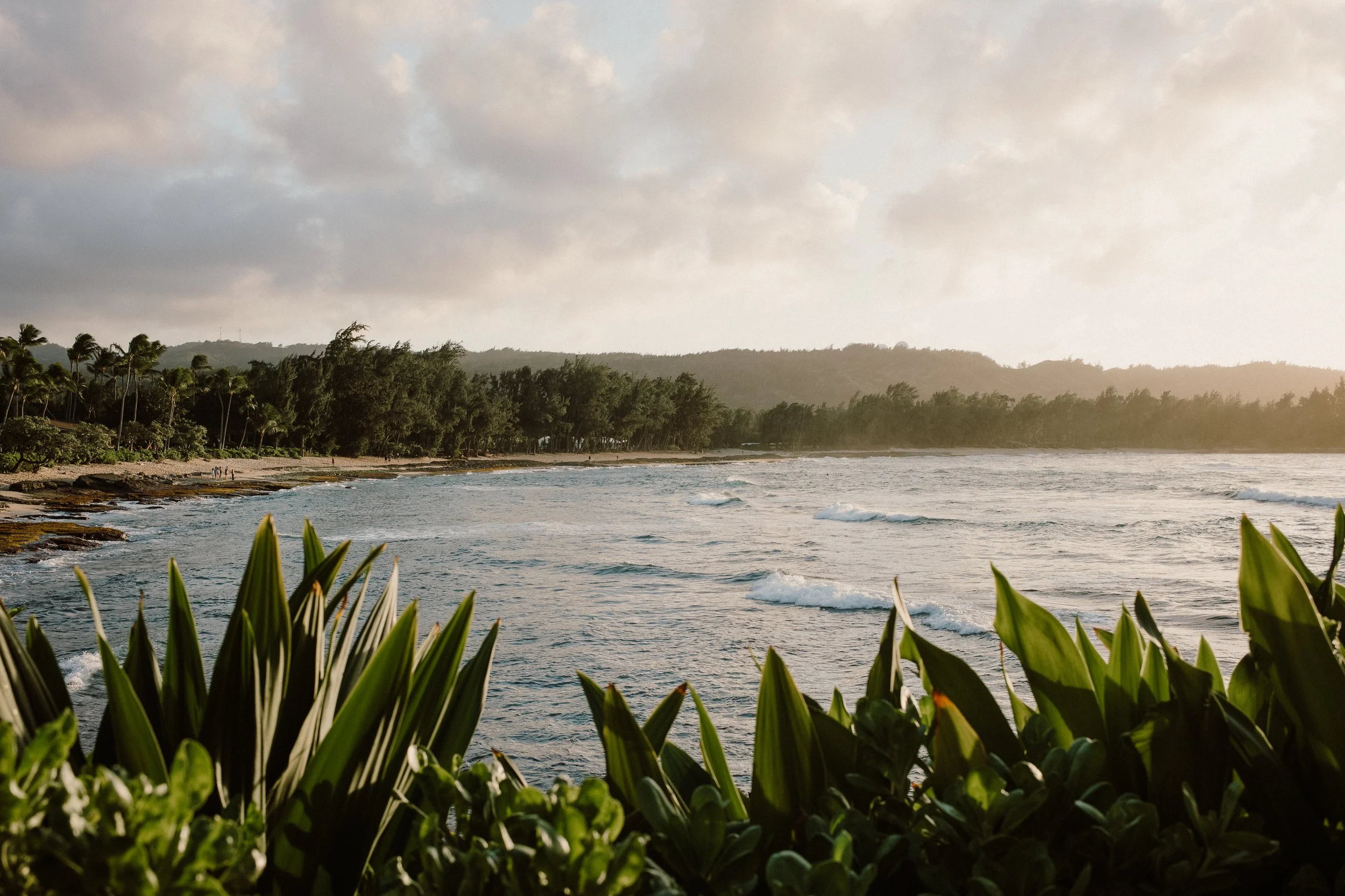turtle bay, oahu