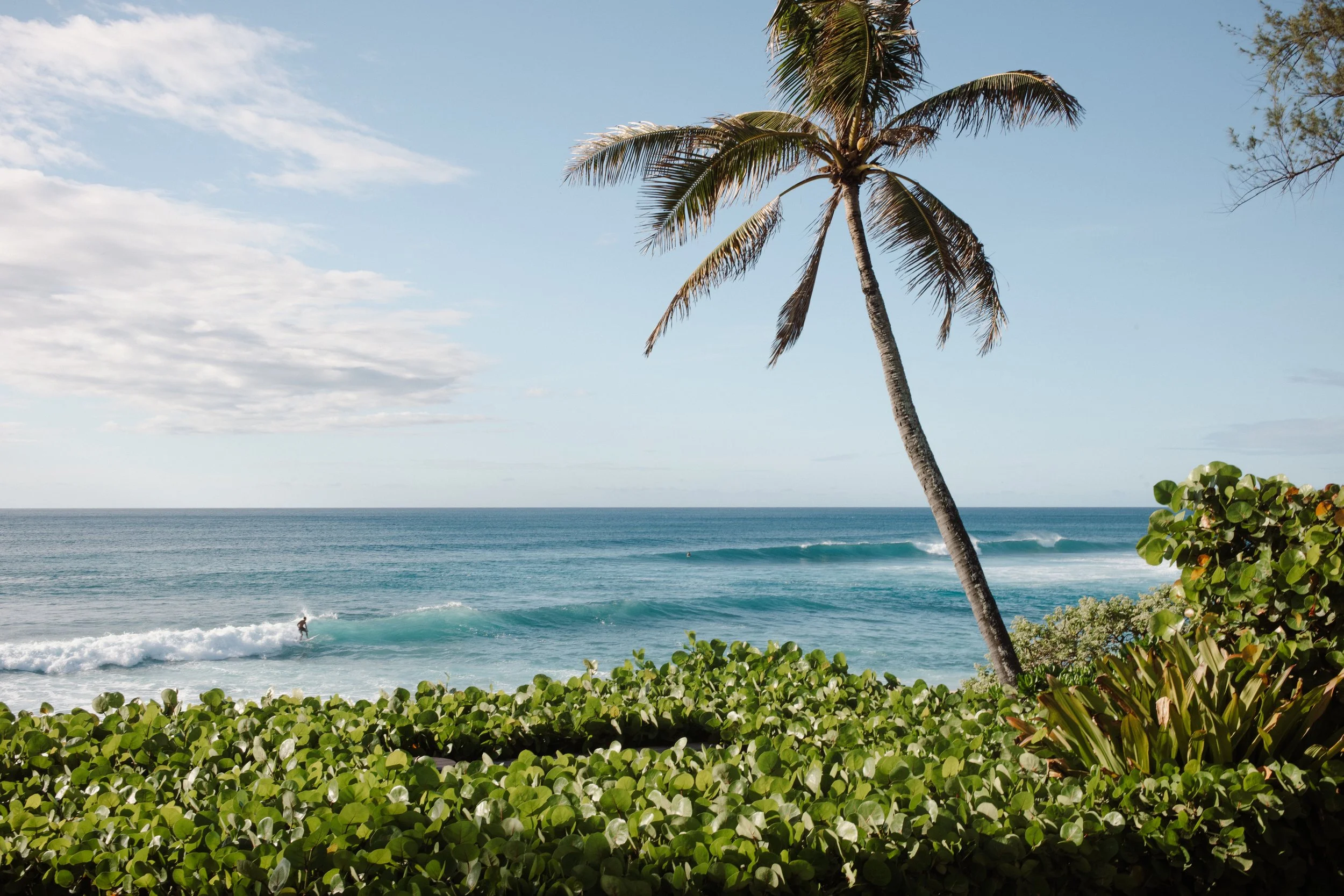north shore, oahu