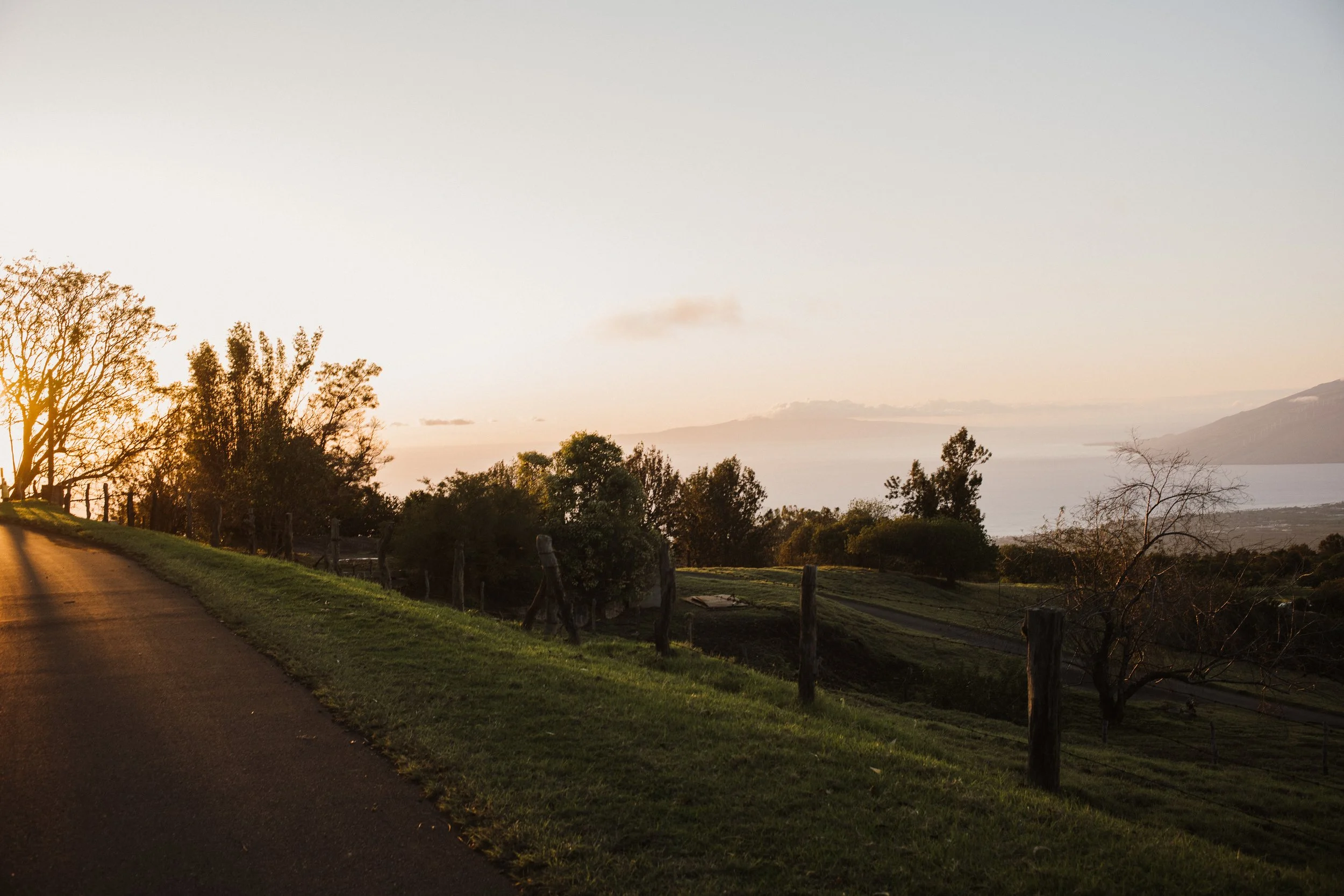 kula, maui