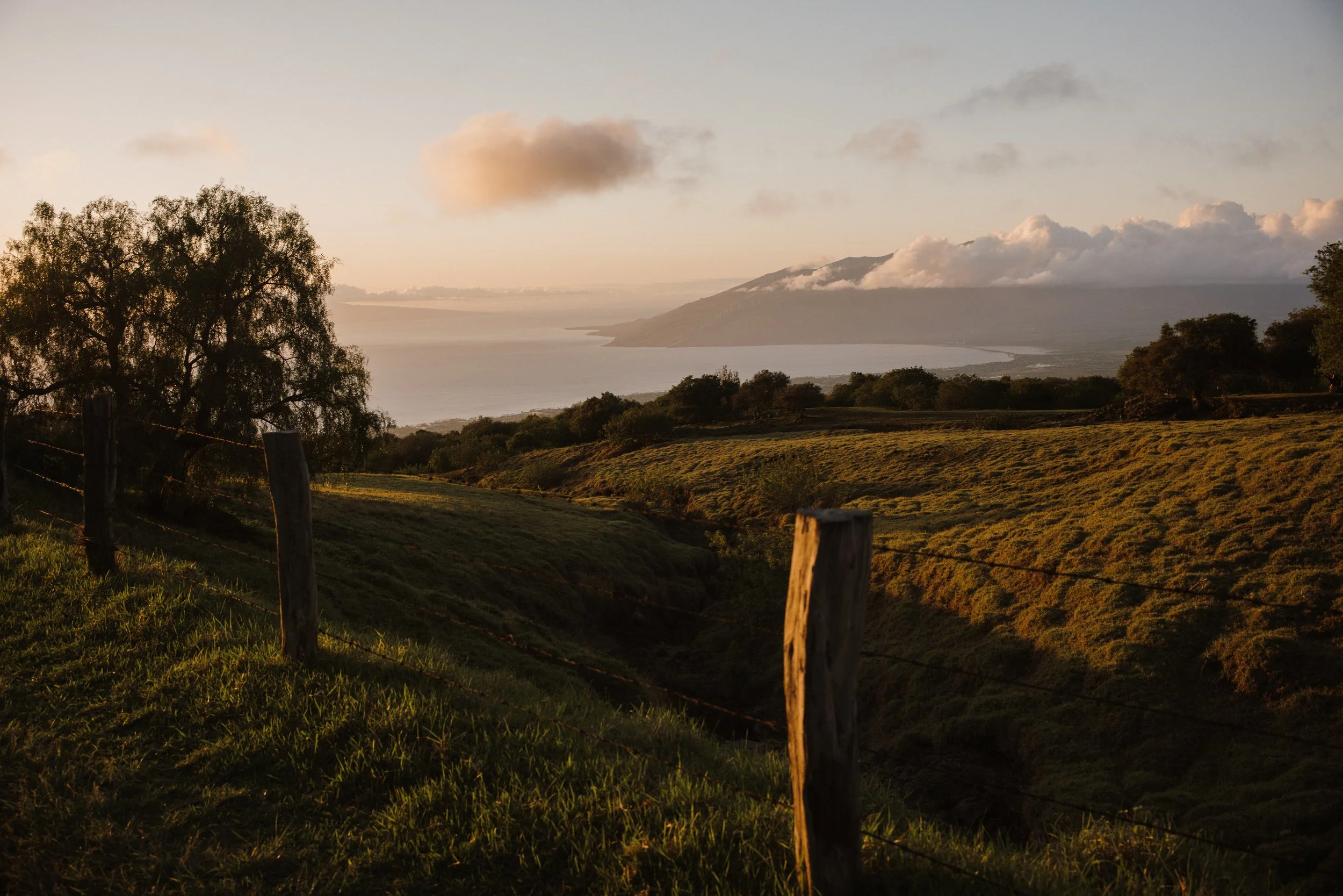 kula, maui