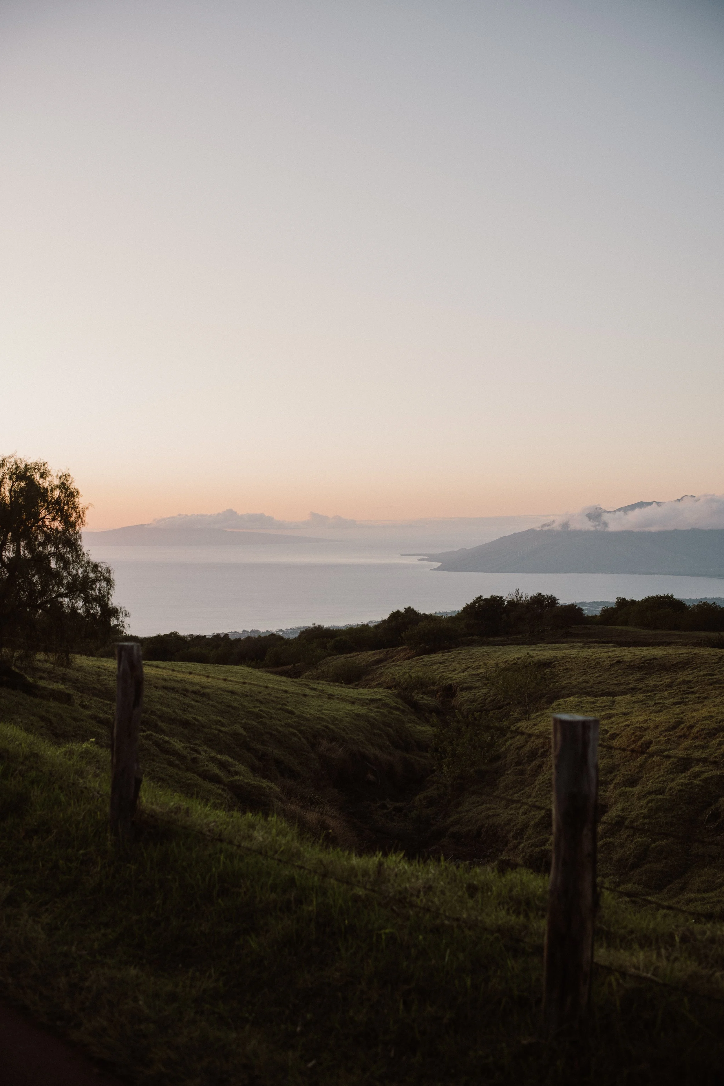 kula, maui