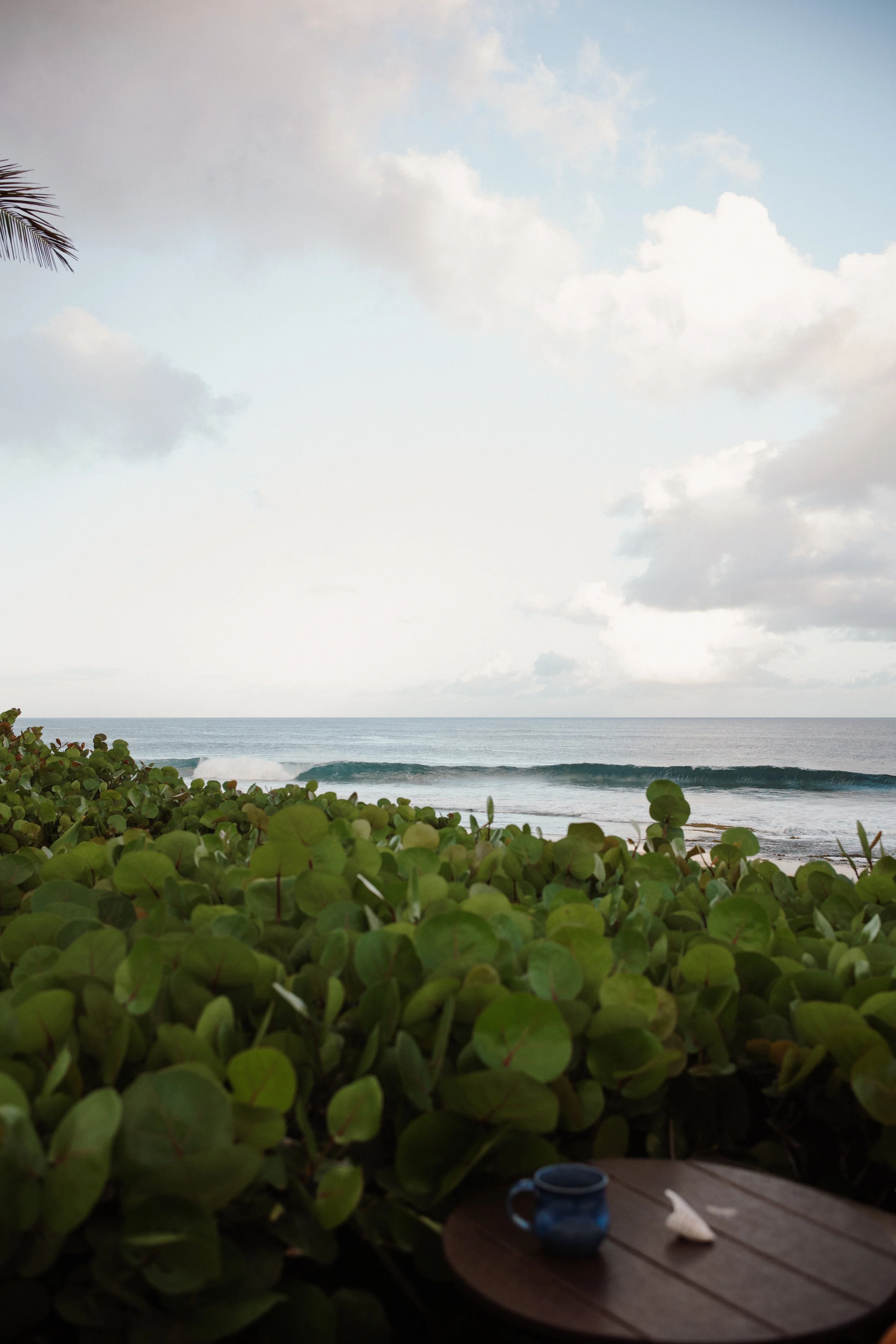 north shore, oahu