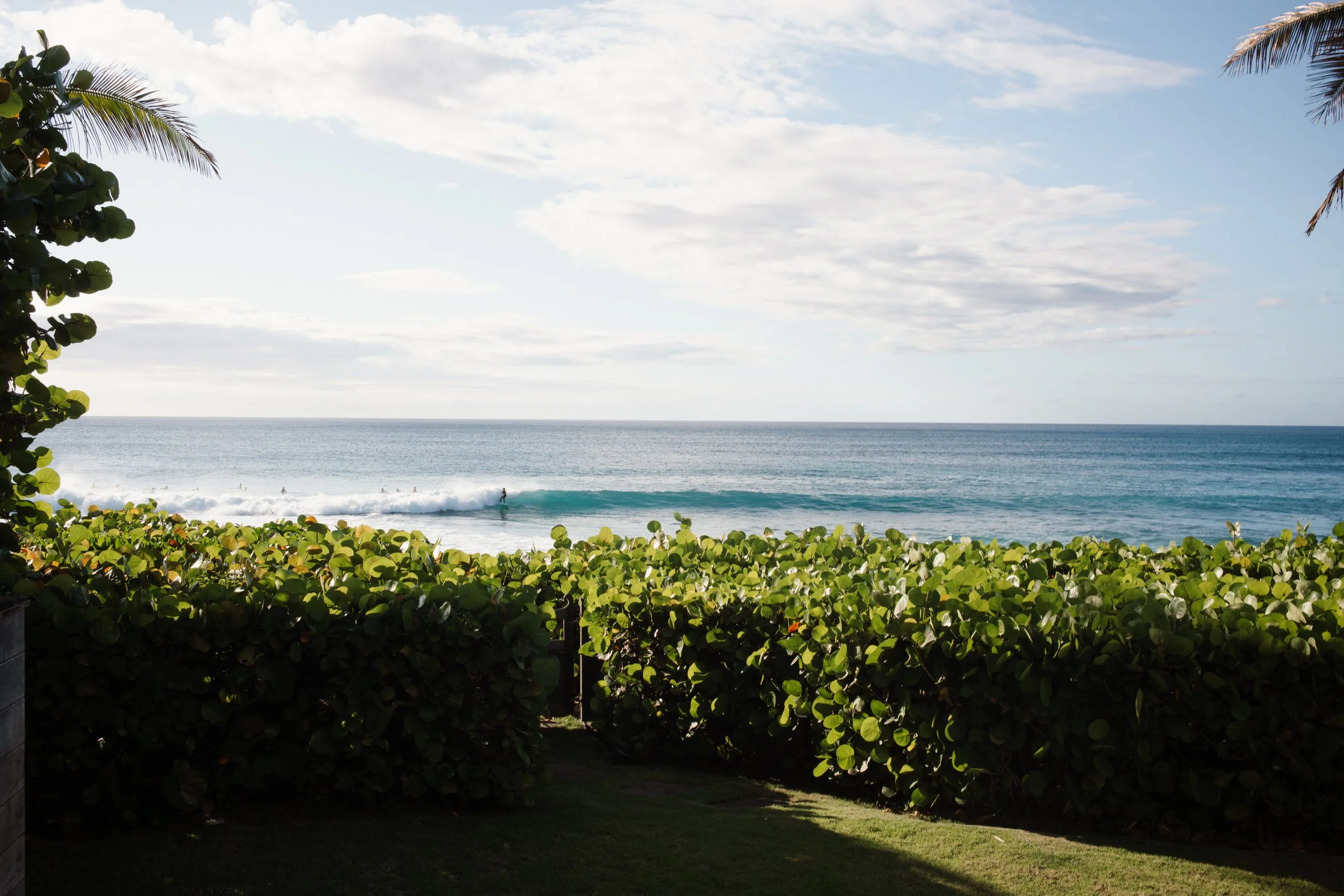 north shore, oahu