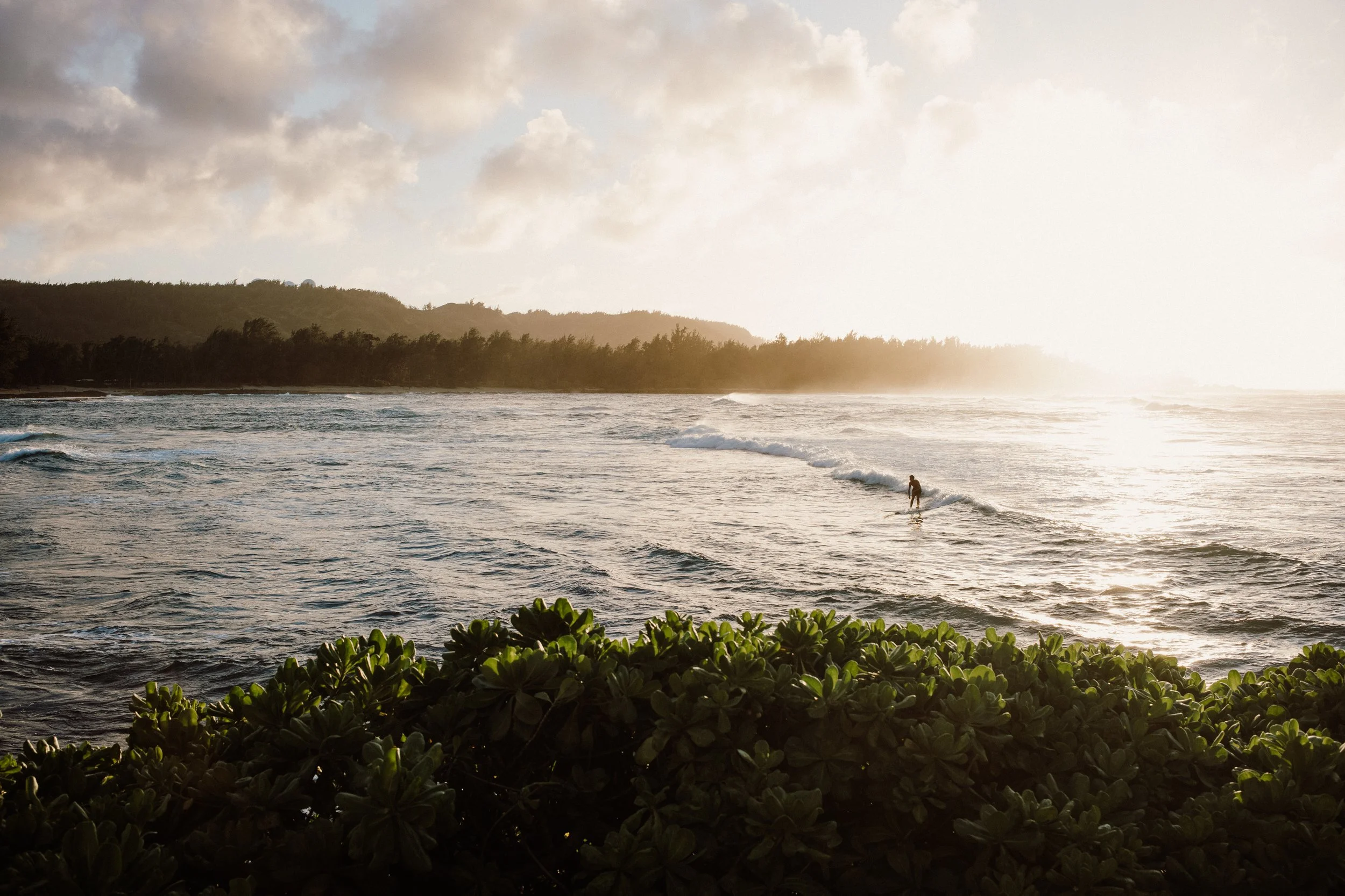 turtle bay, oahu
