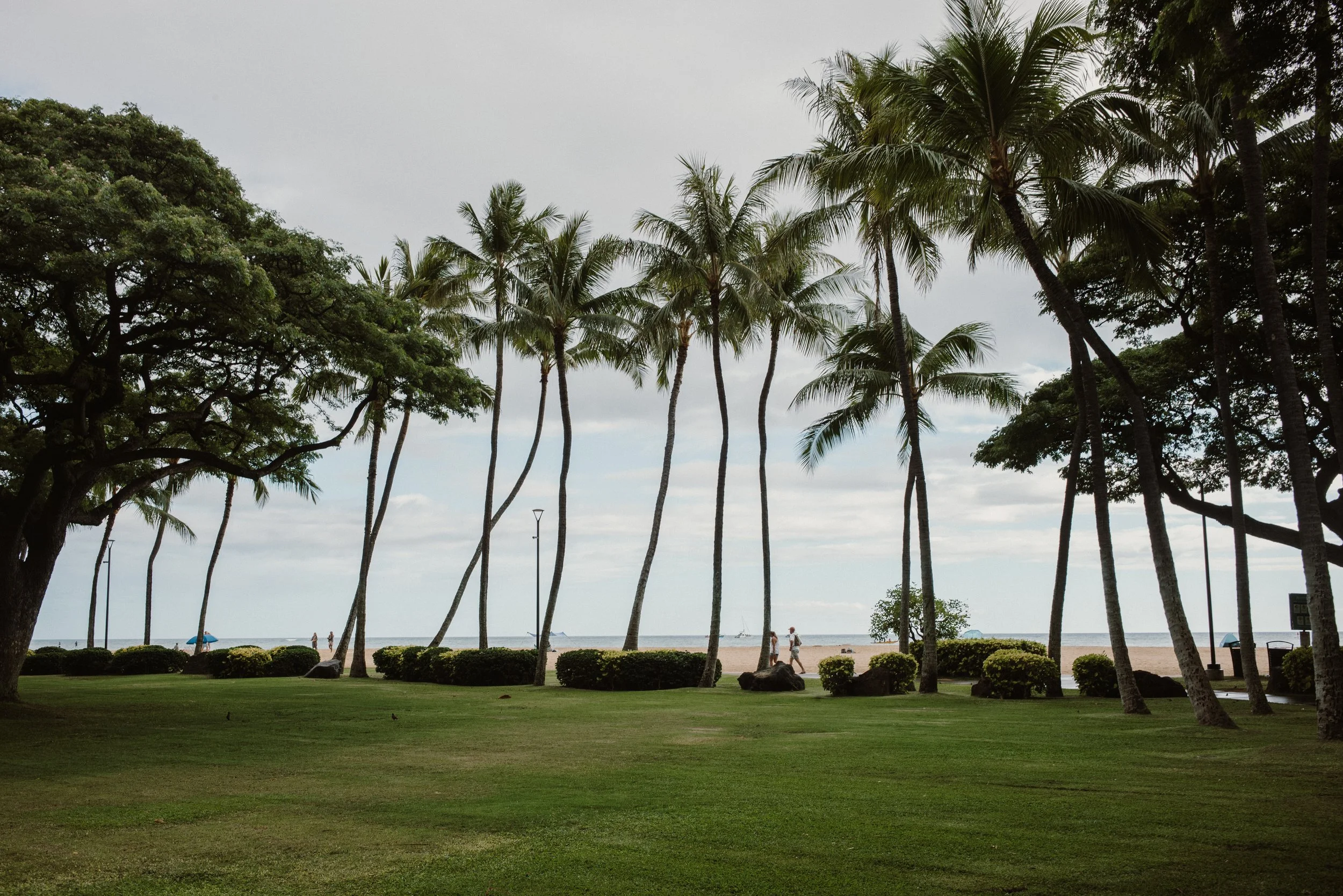waikiki, oahu