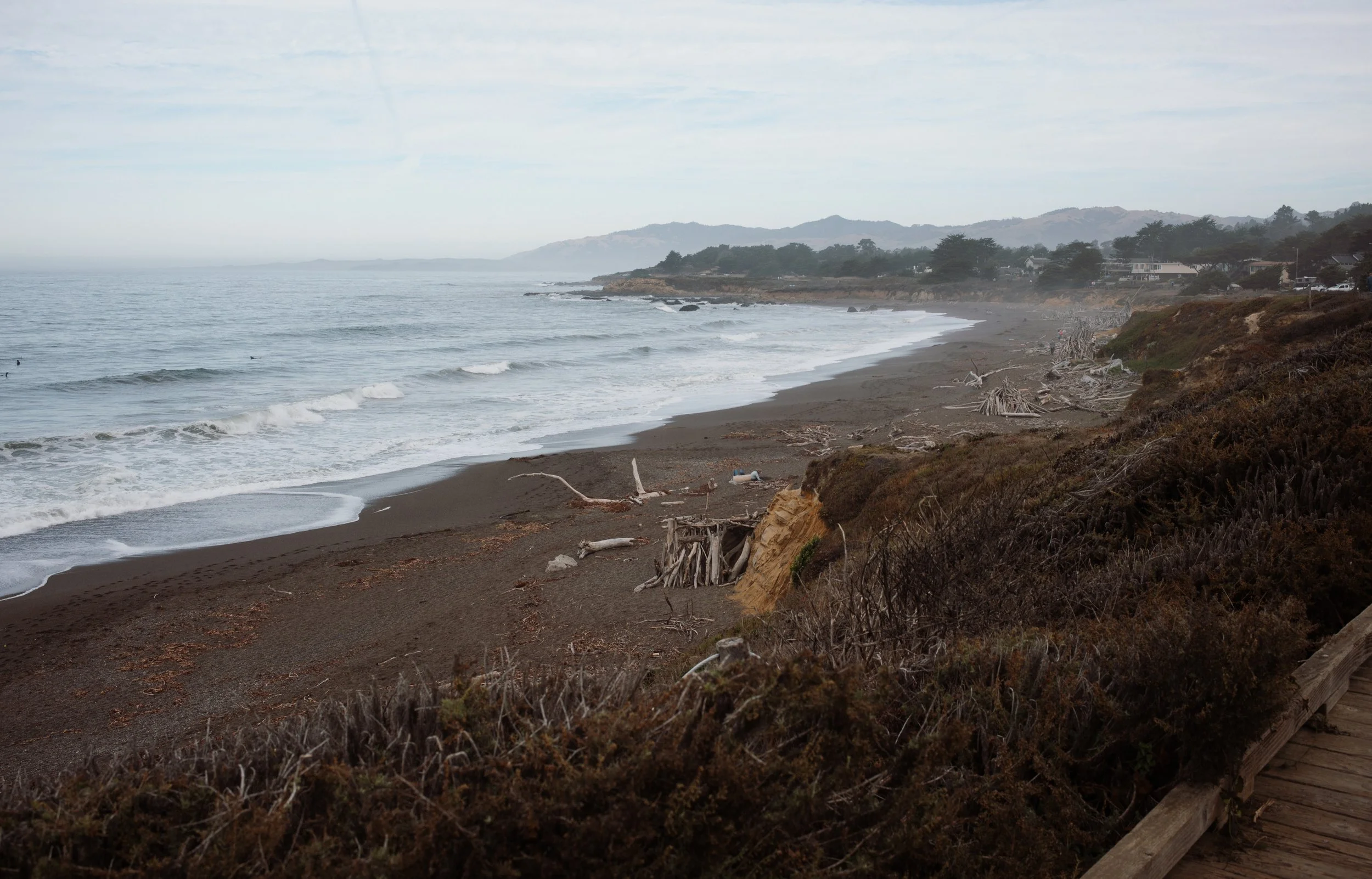 L1003751.jpg