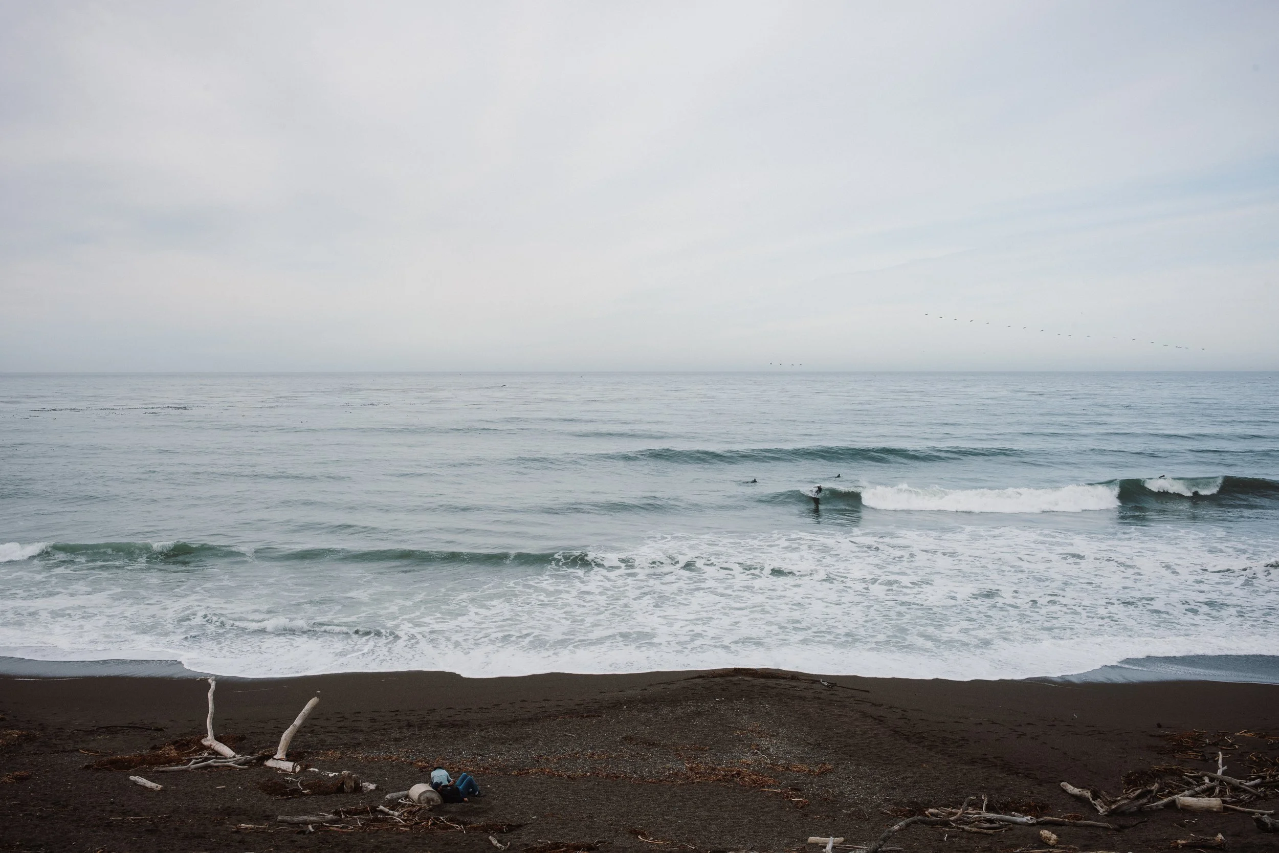 L1003774.jpg