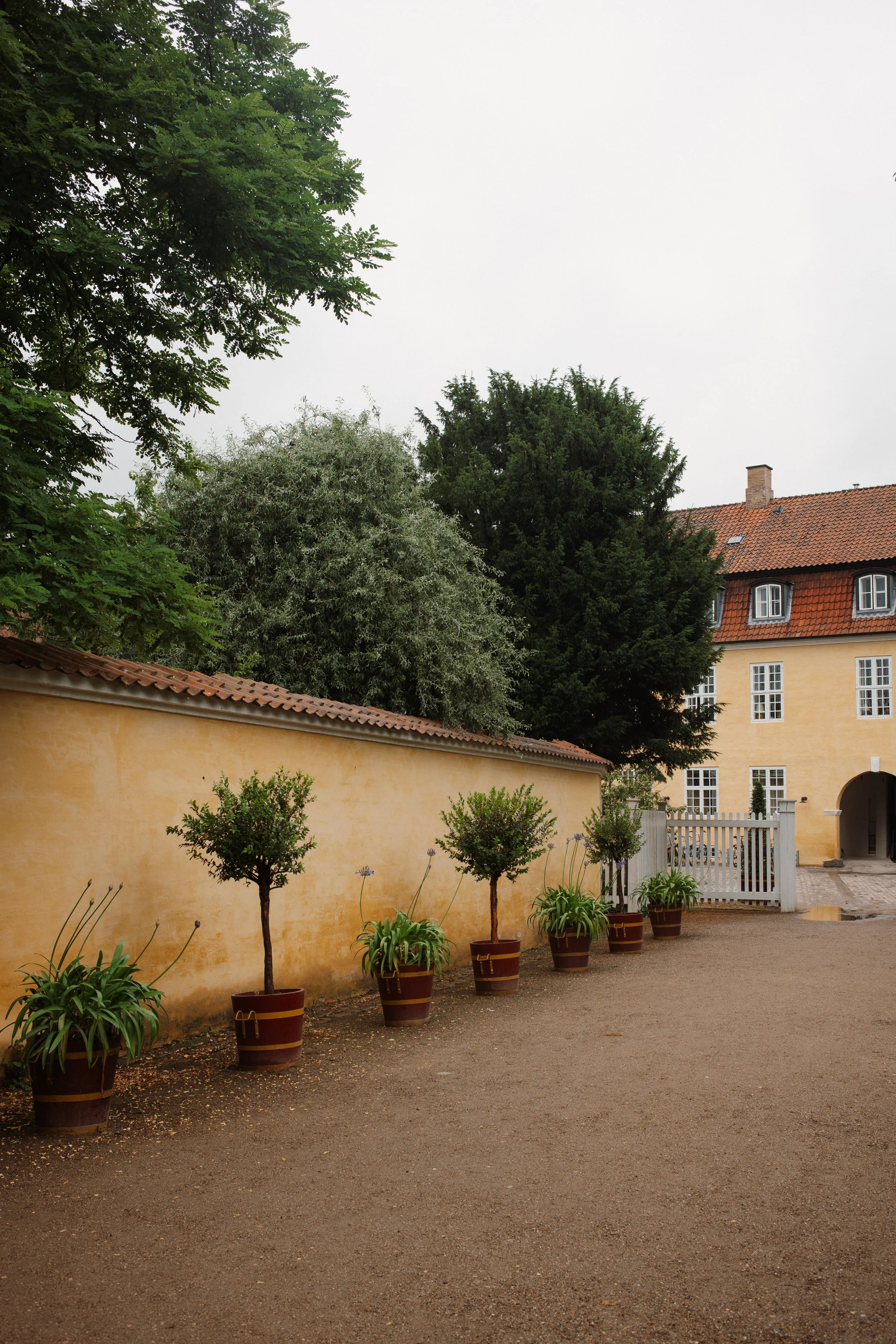 L1001326.jpg