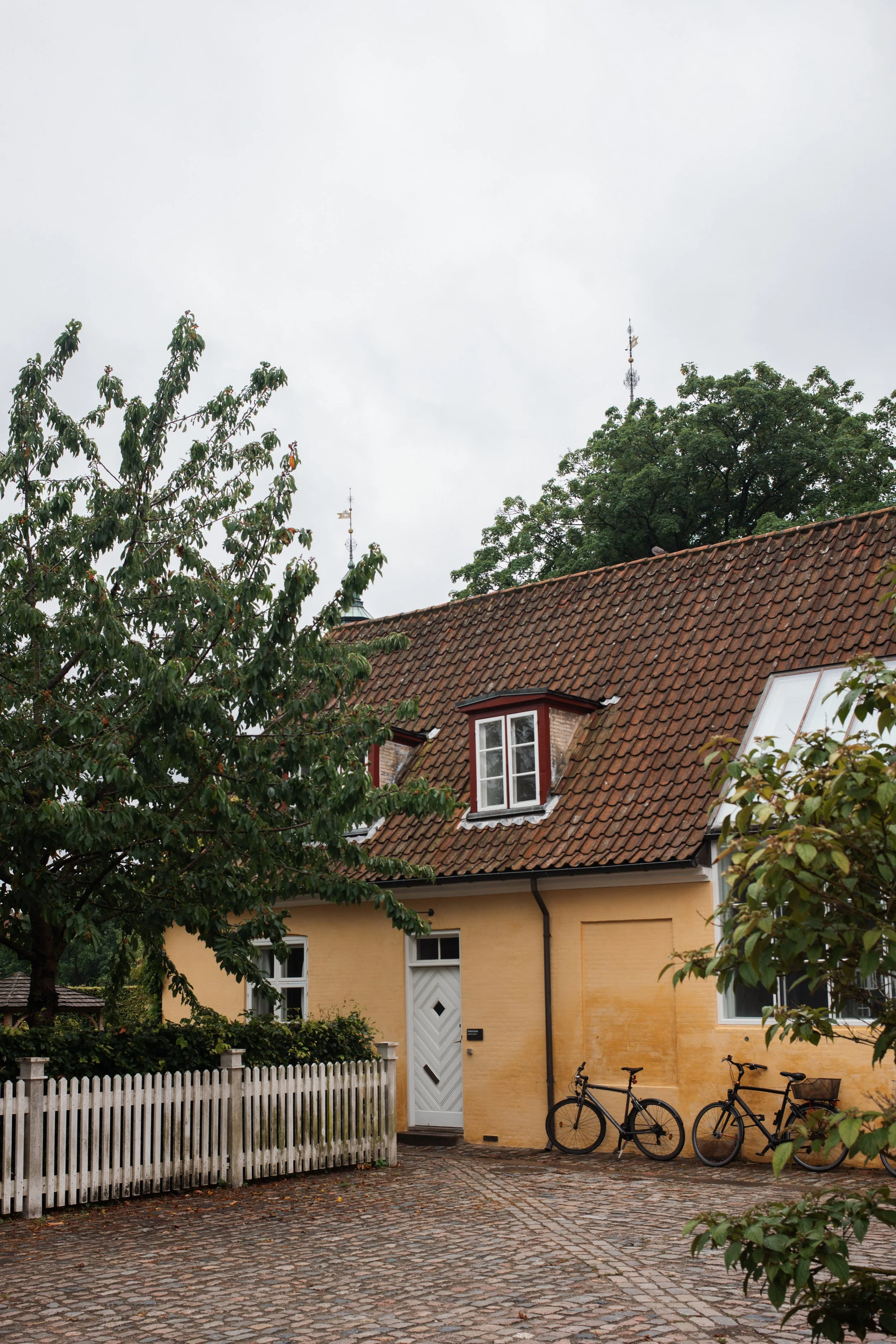 L1001327.jpg