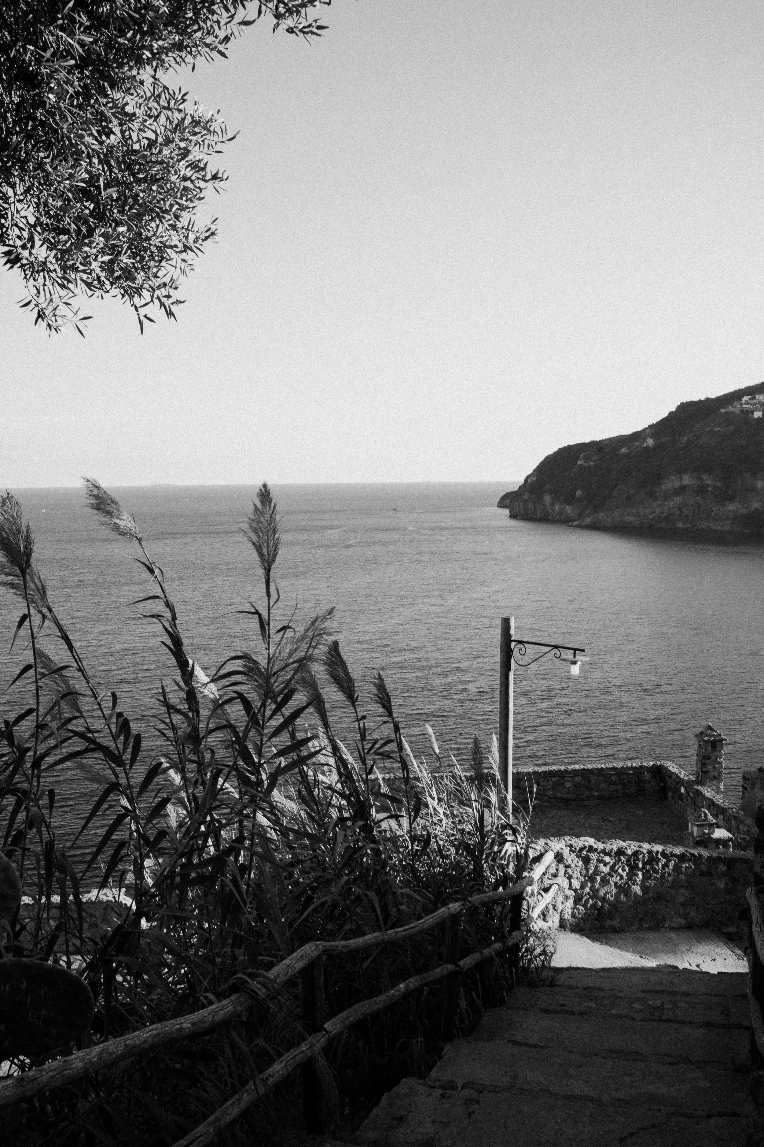 L1006005.jpg