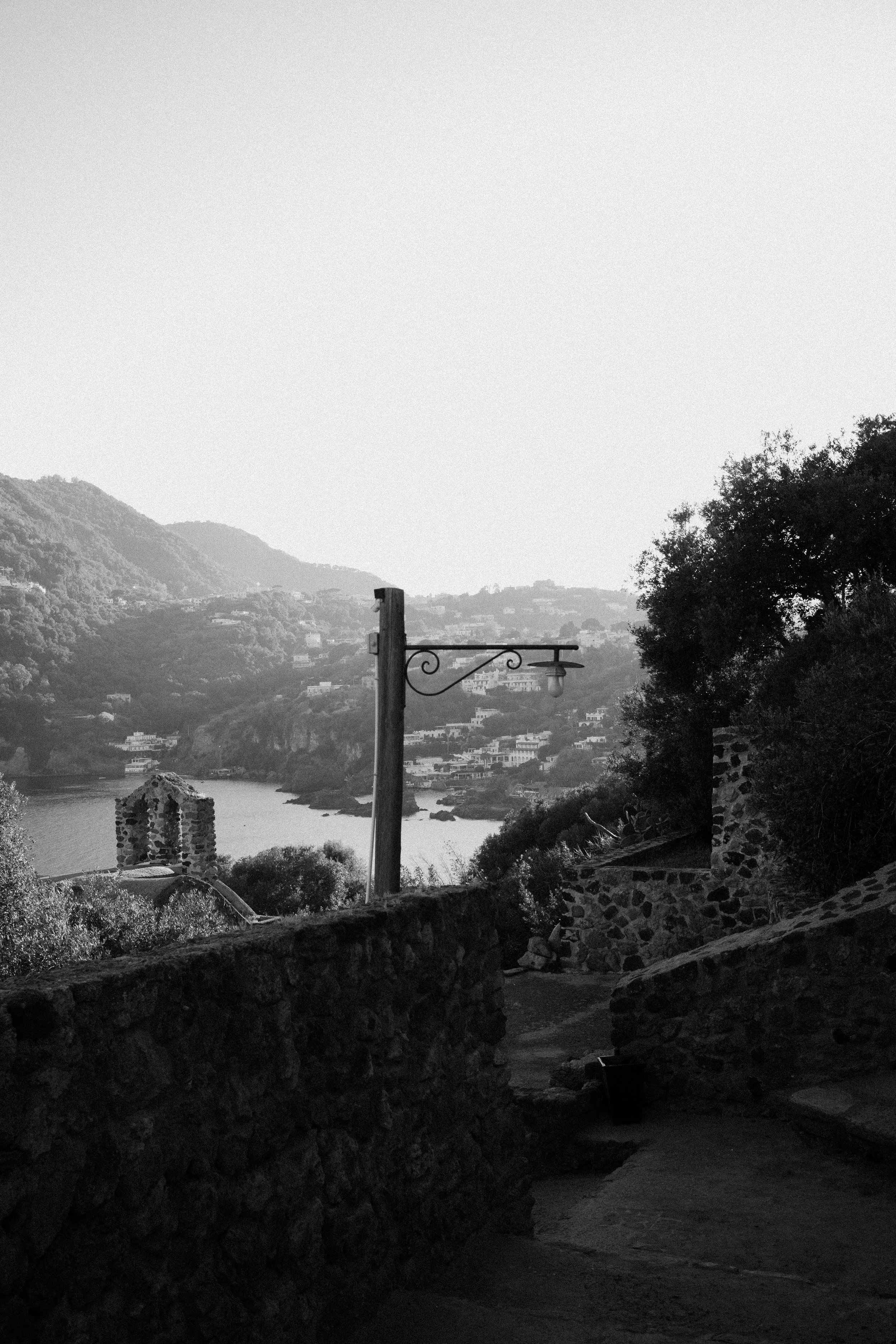 L1006009.jpg