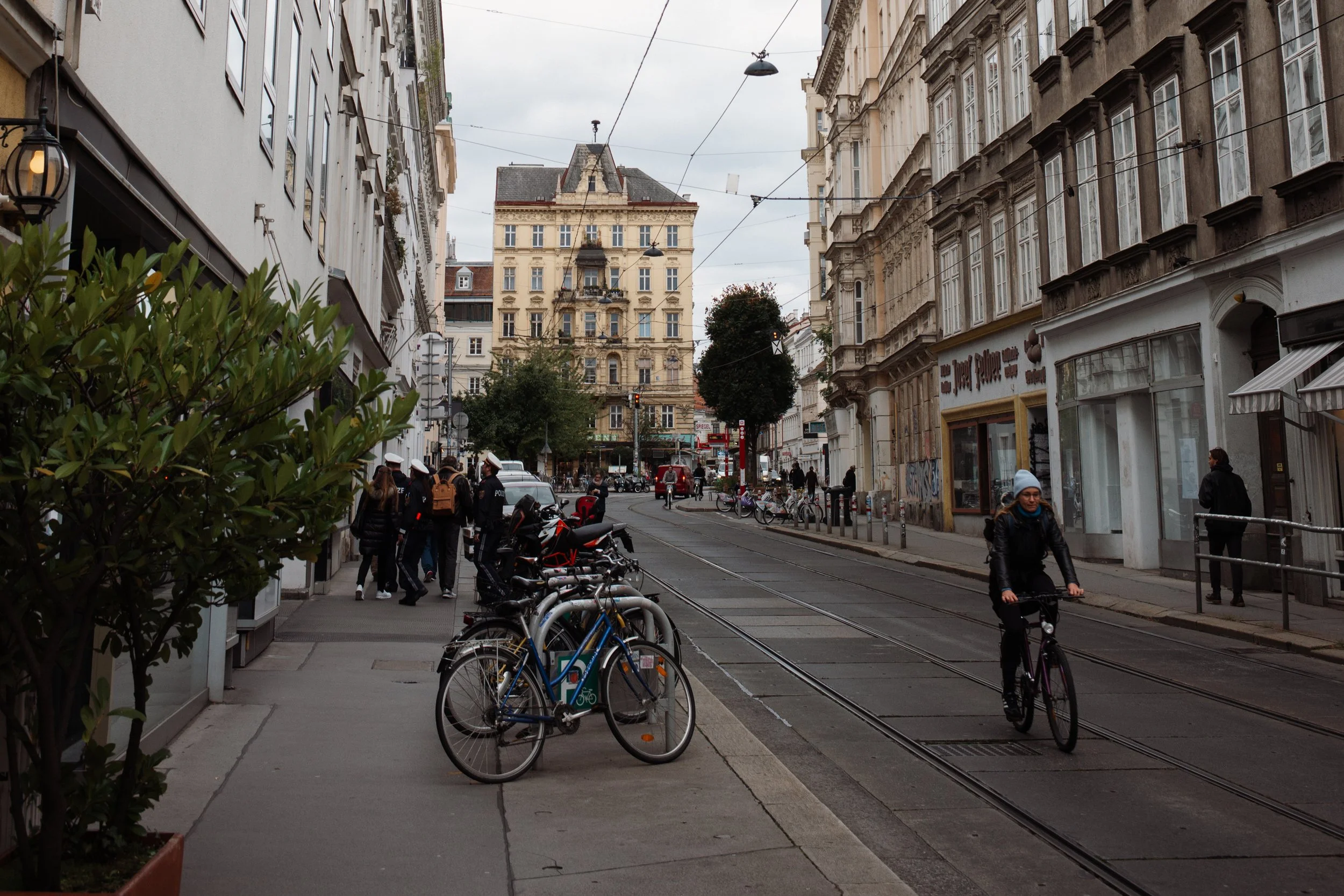 L1006284.jpg
