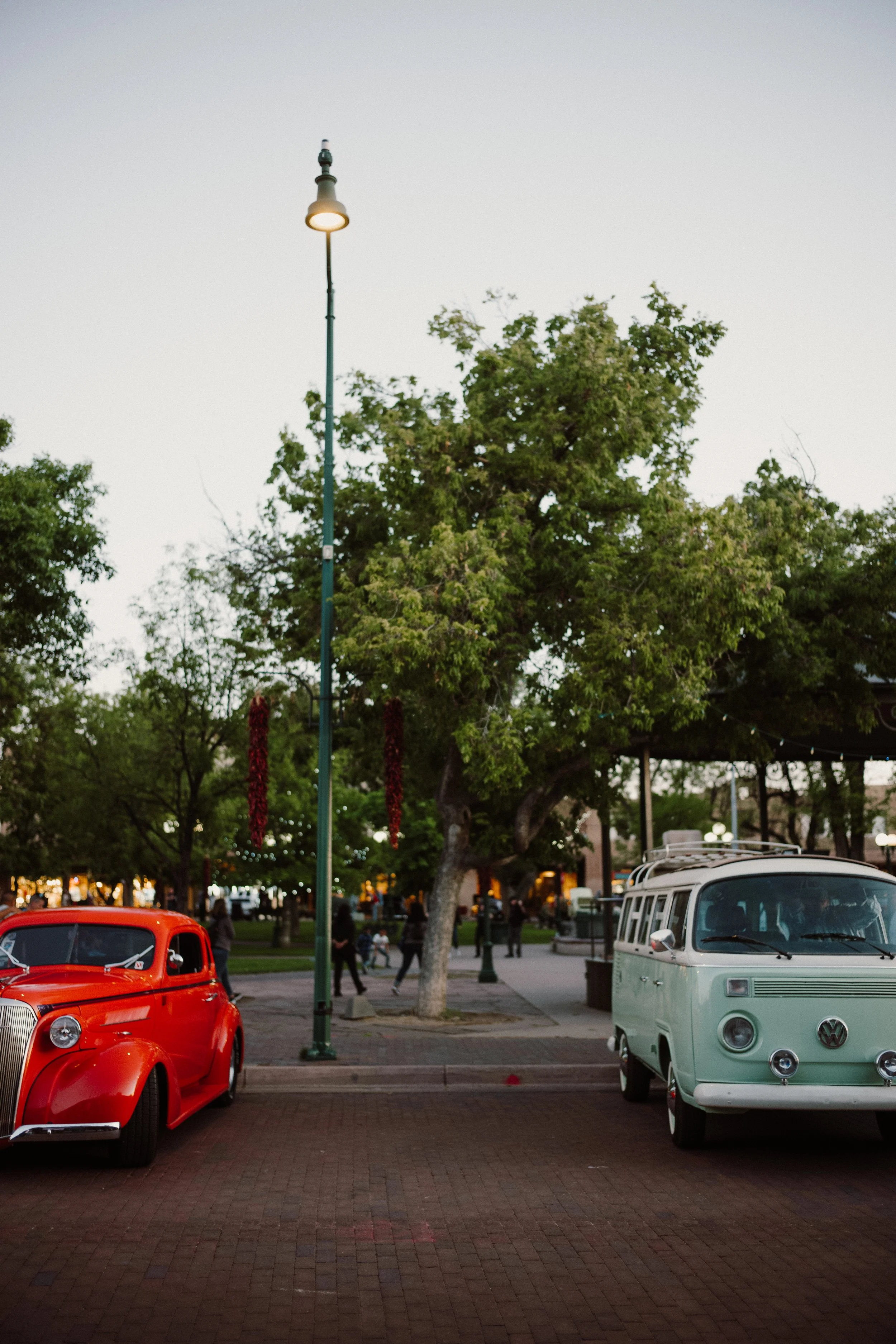 L1005078.jpg