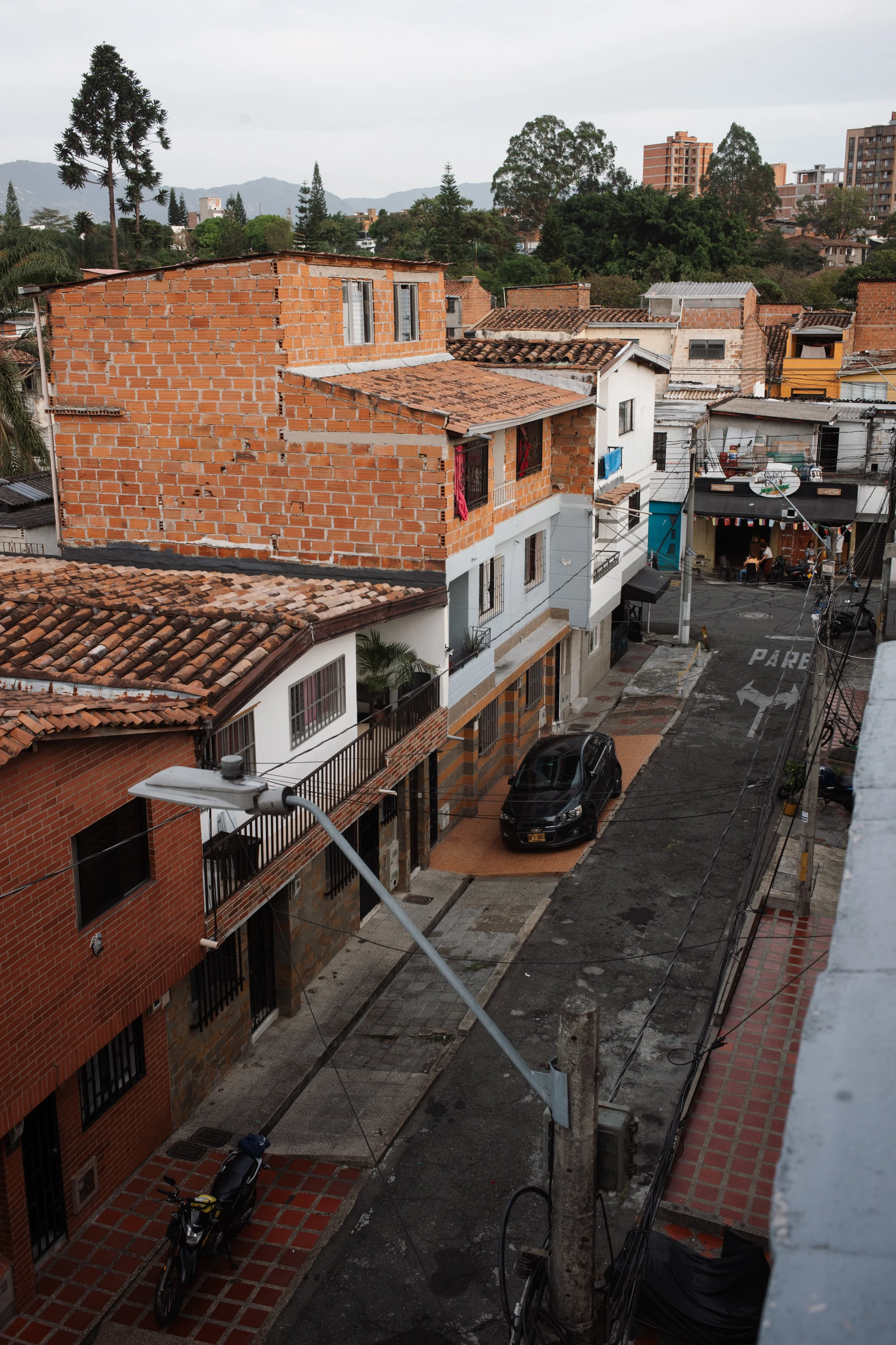 L1007113.jpg
