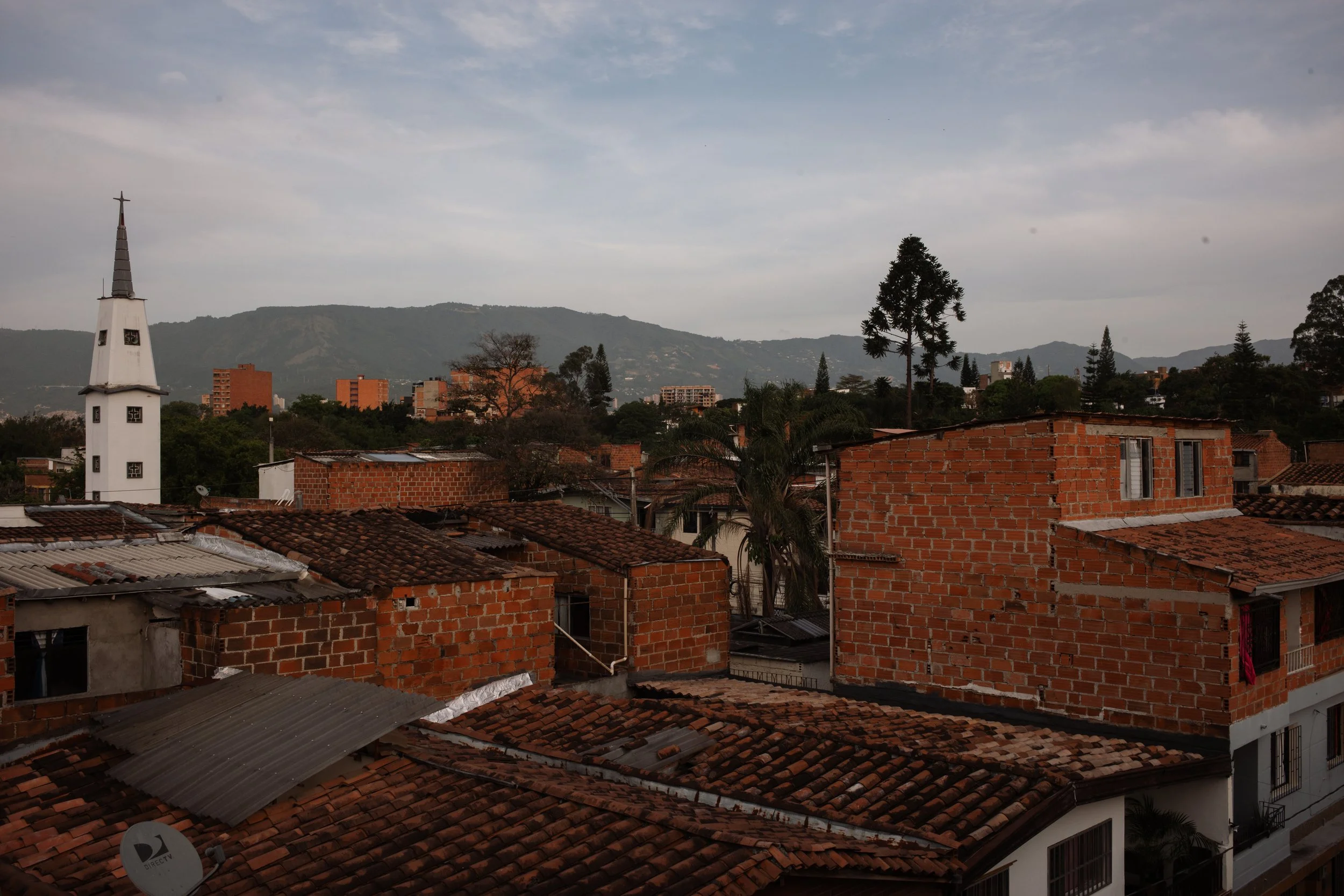 L1007115.jpg