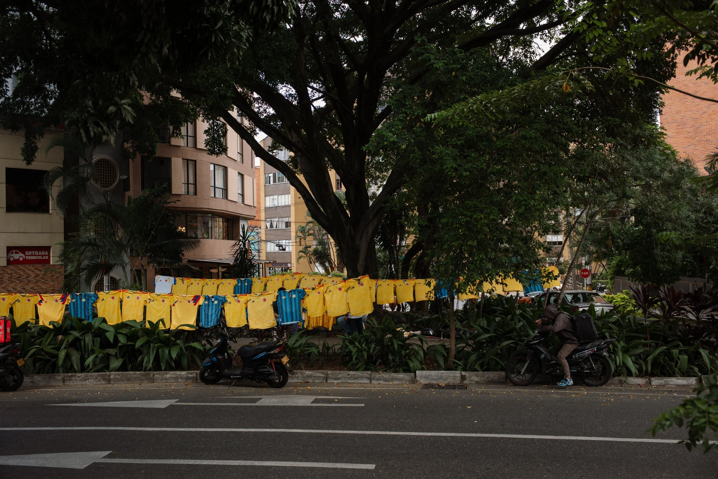 L1007797.jpg