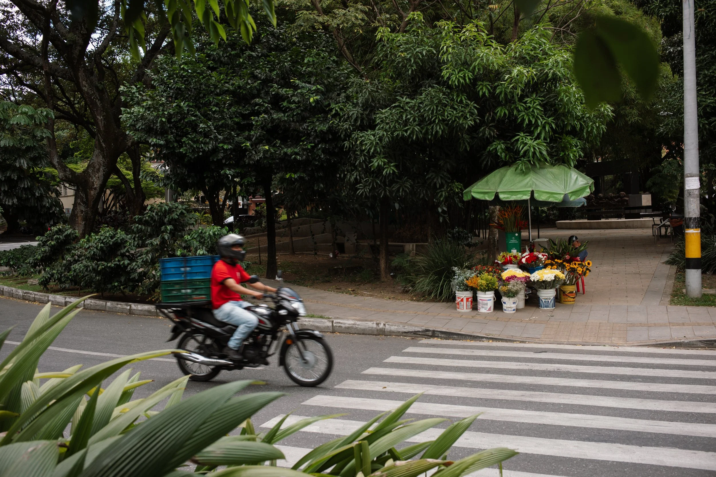 L1007788.jpg