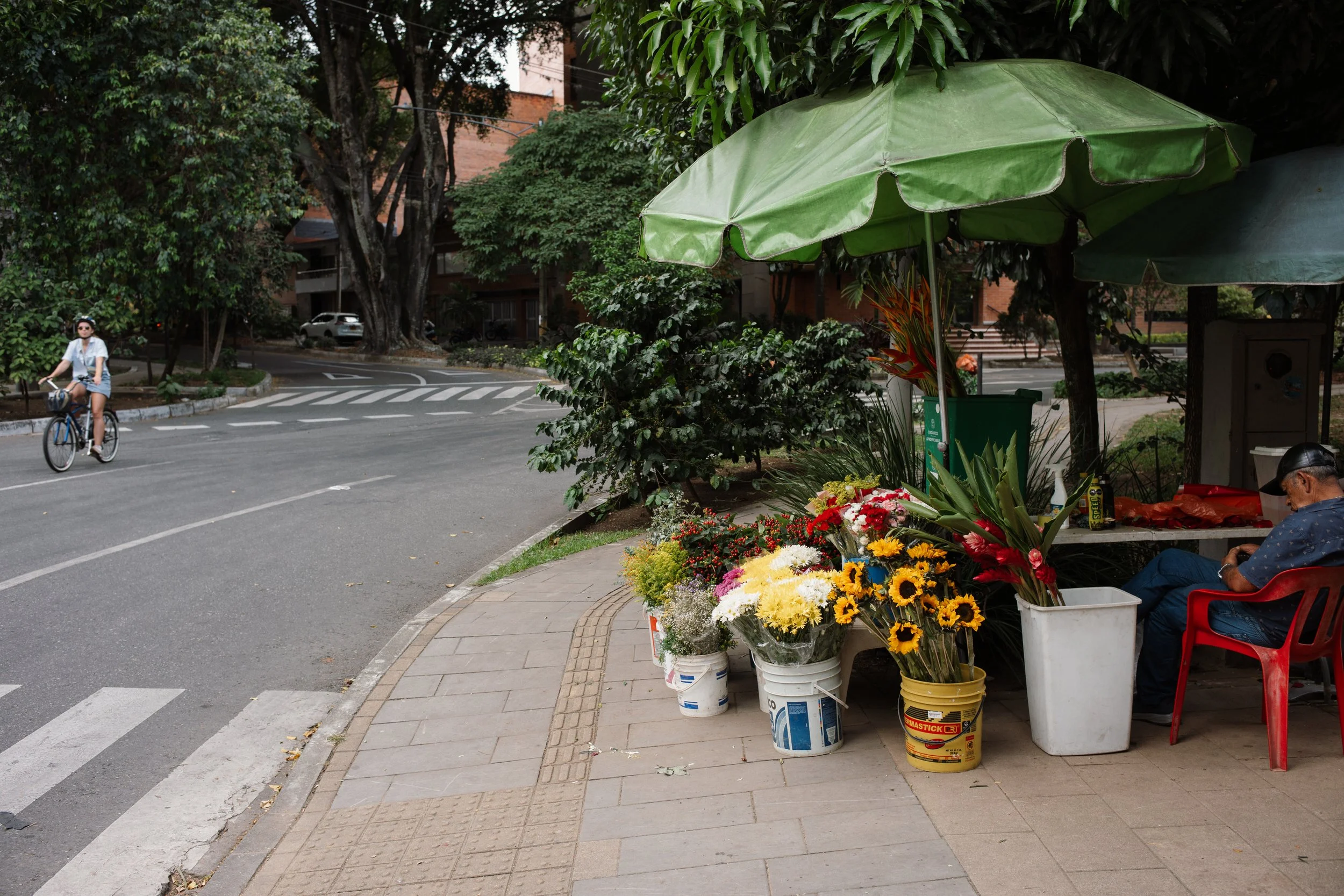 L1007791.jpg