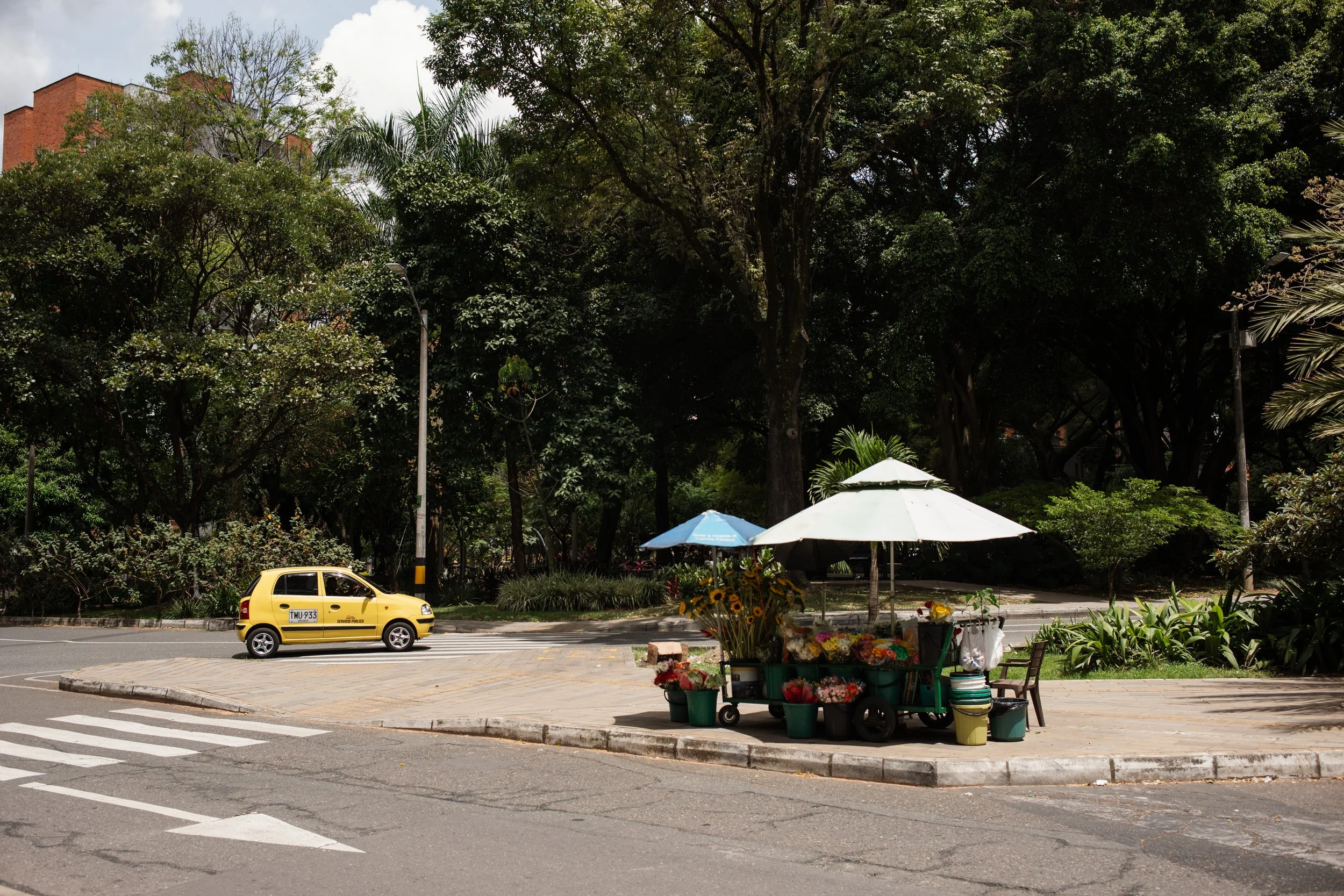 L1007809.jpg